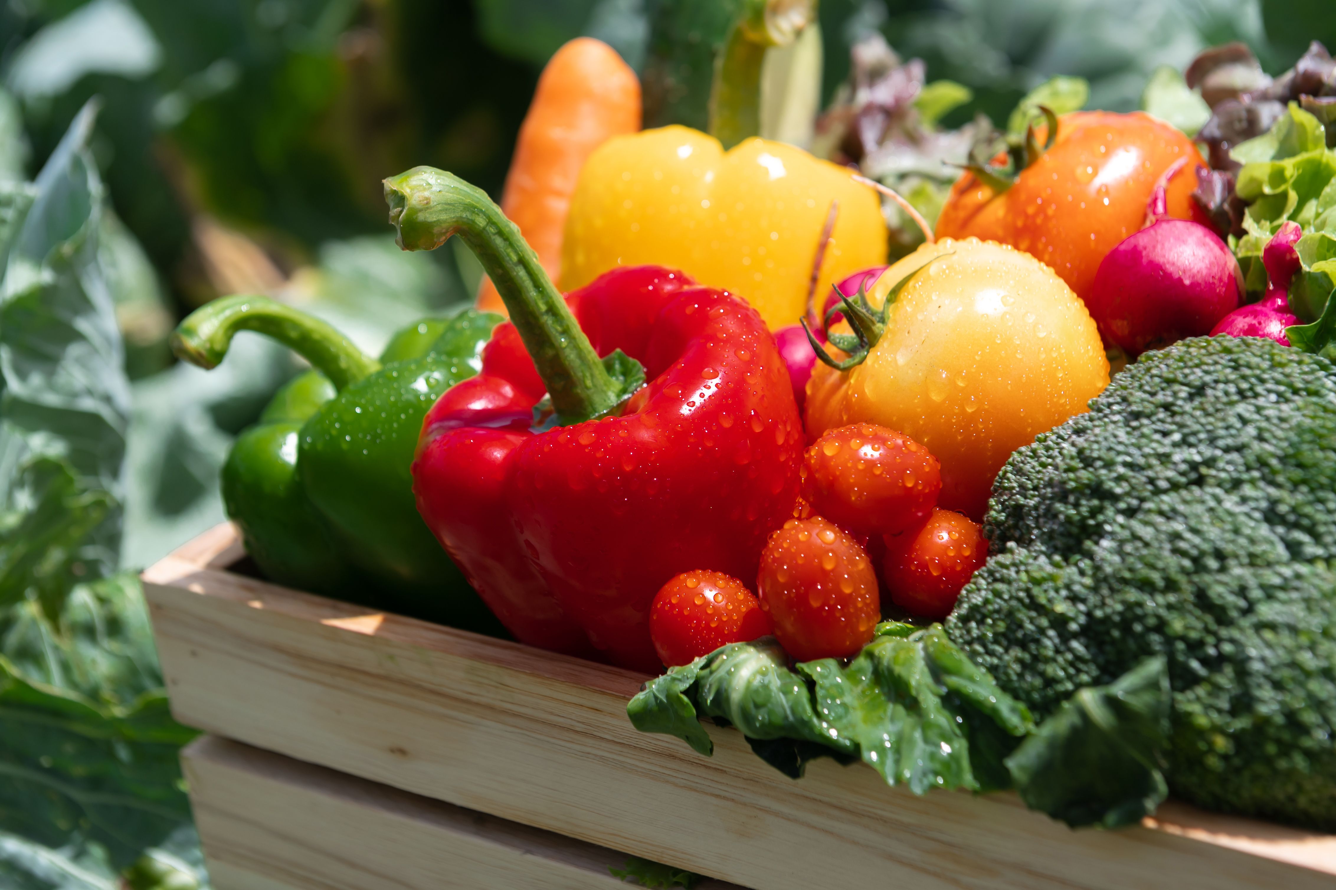 Wooden crate filled with fresh organic vegetables
