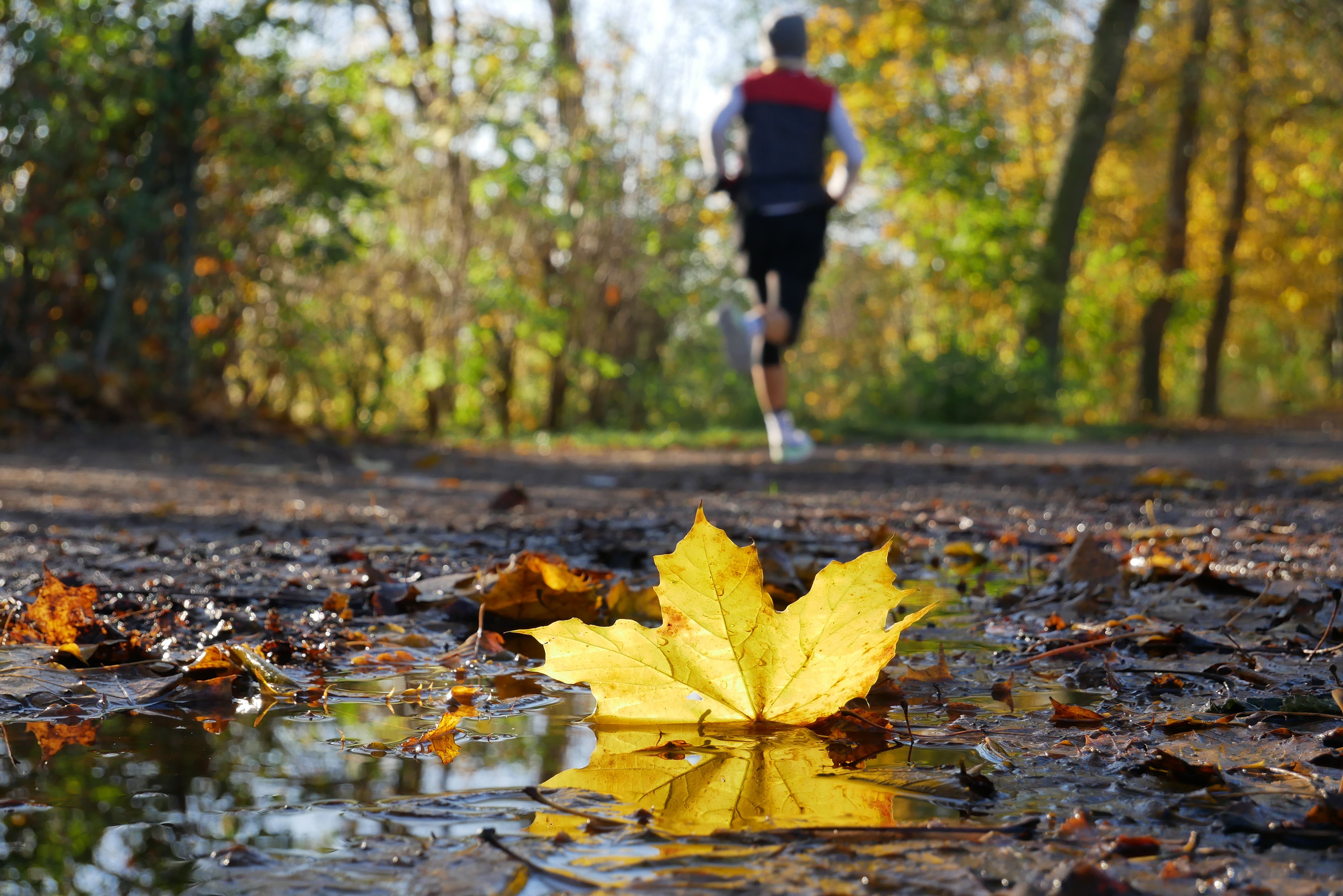 herbst sport