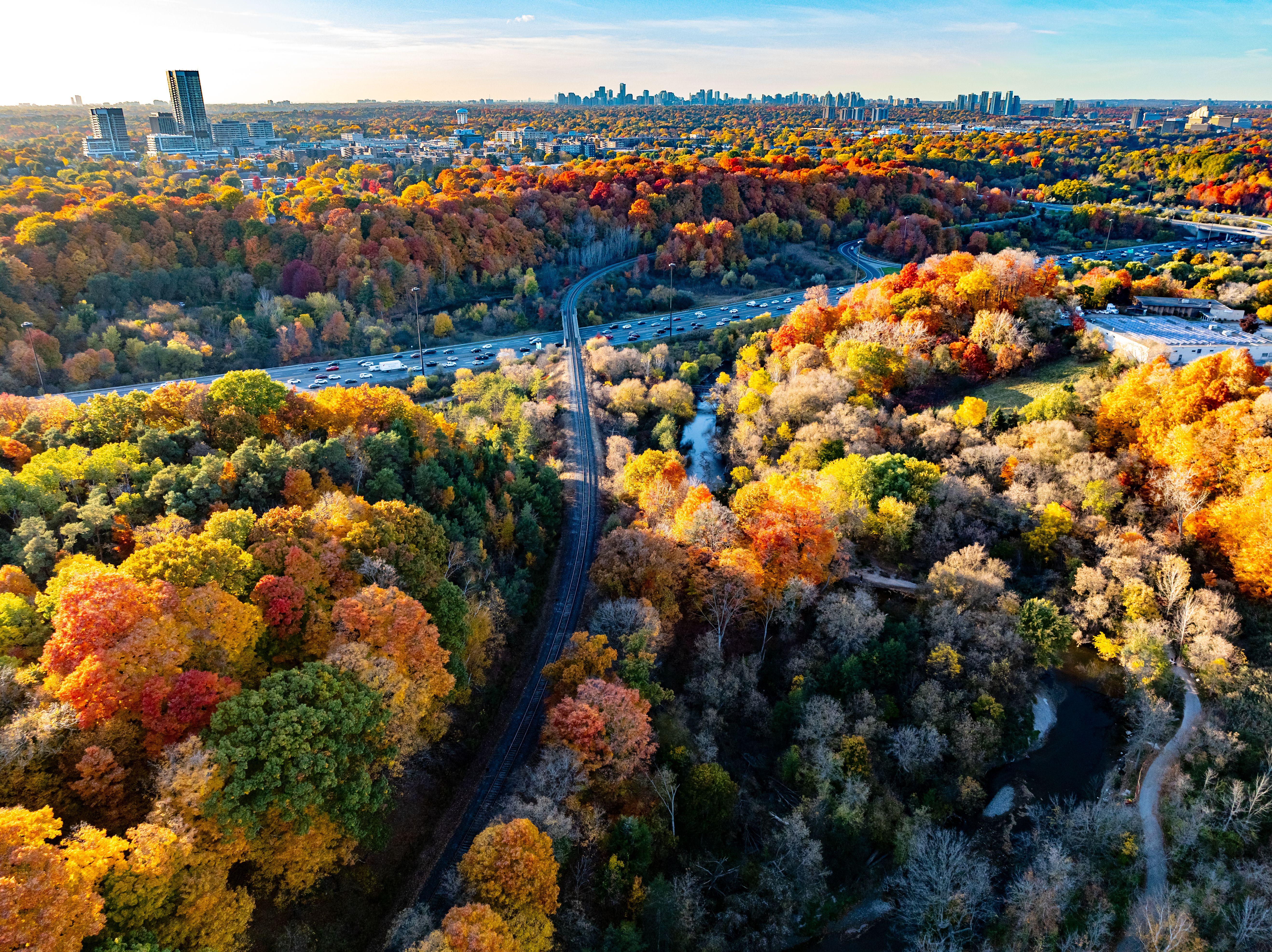 rosedale park trails