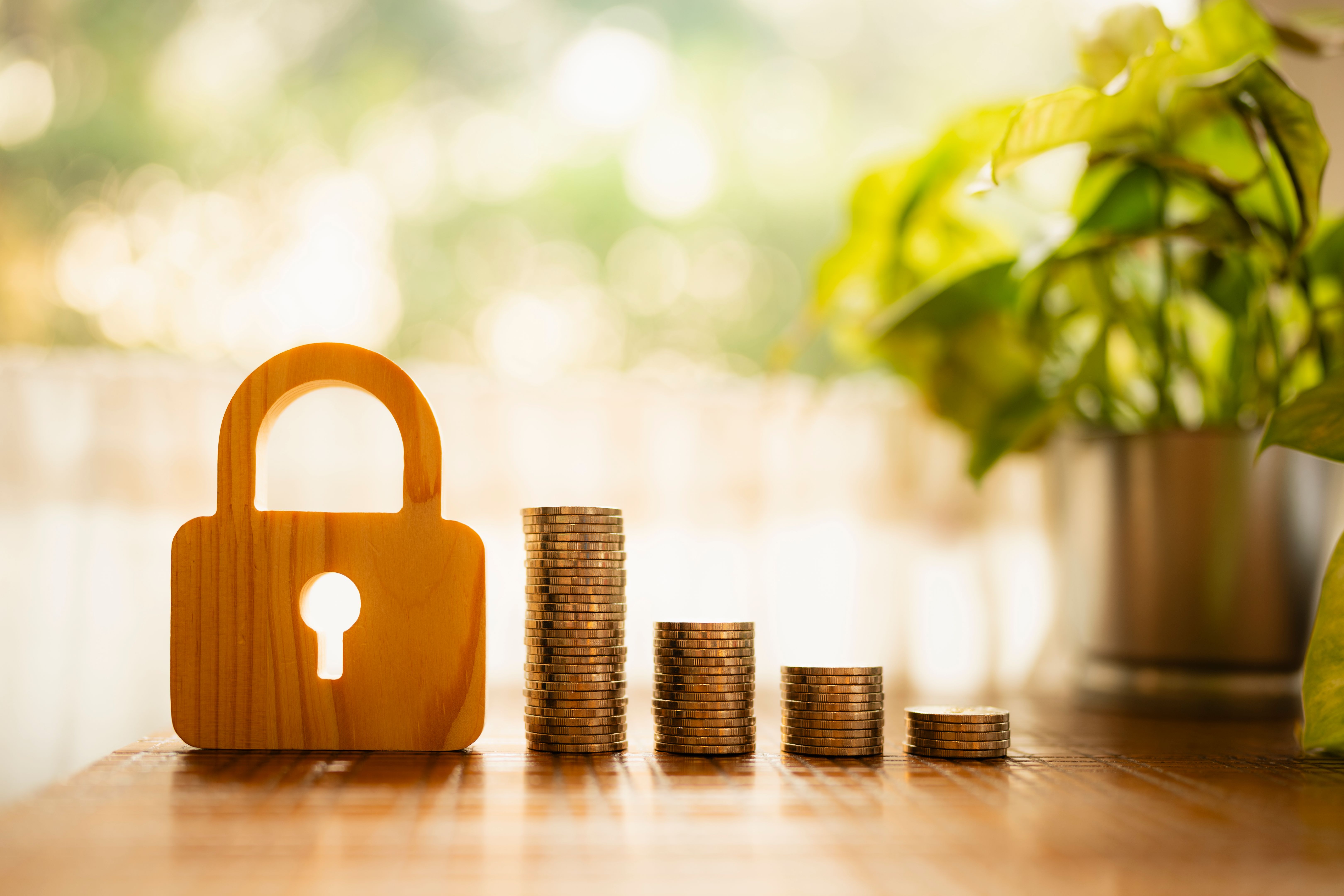 protezione finanziaria