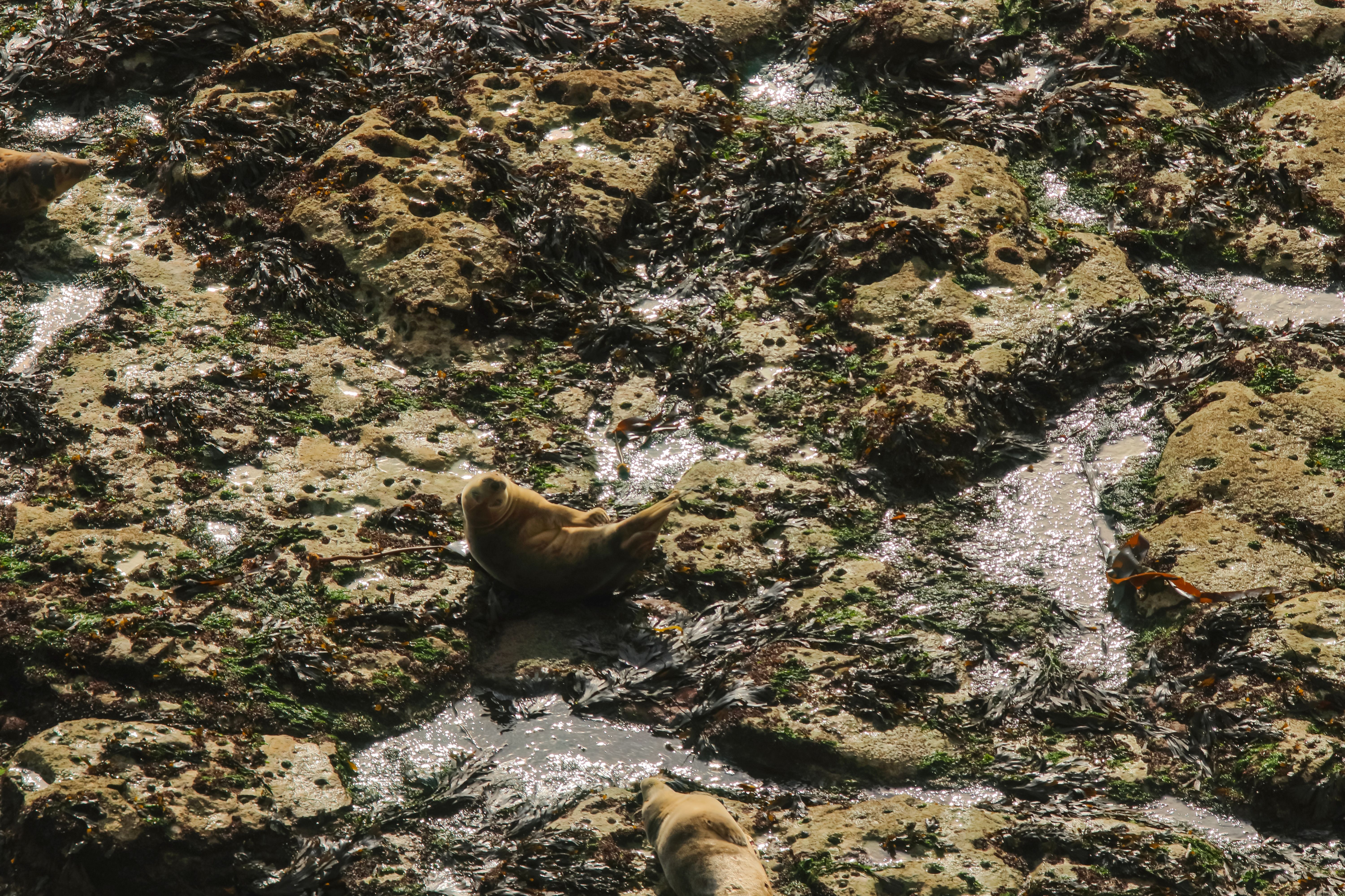 green travel yorkshire