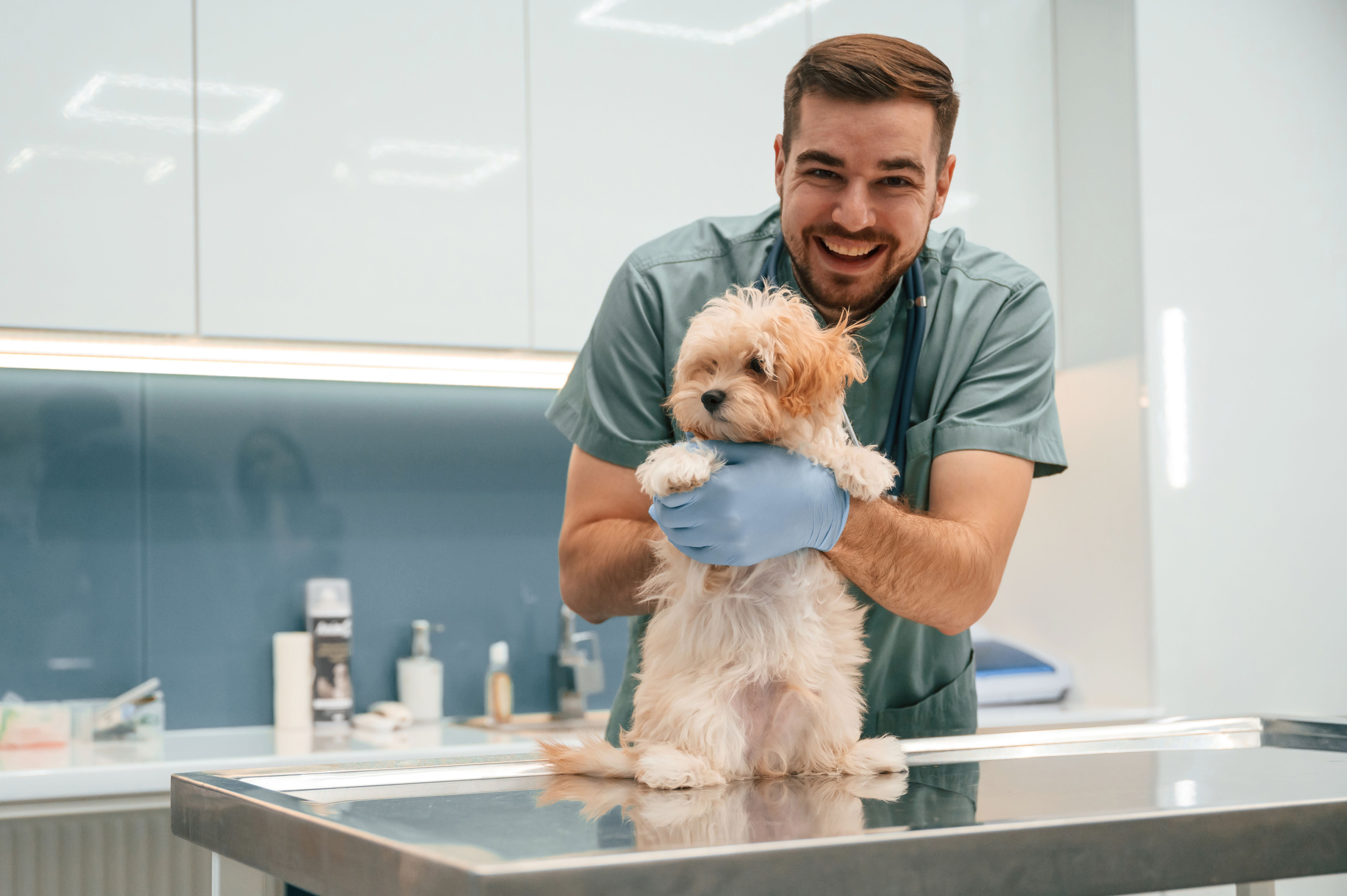 Smiling, having fun. Cute little dog in veterinarian clinic with male doctor Smiling, having fun. Cute little dog in veterinarian clinic with male doctor
