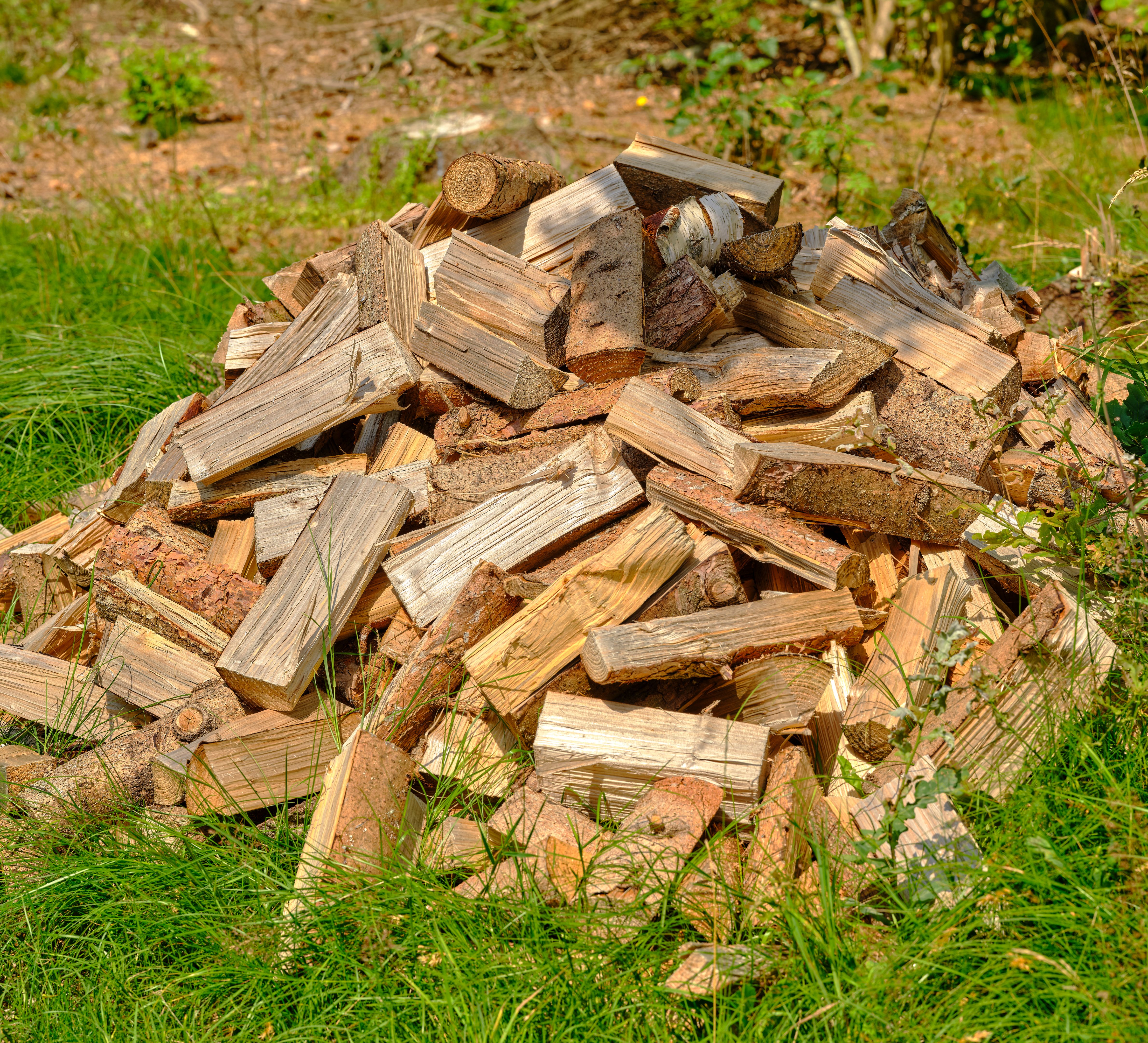 wood burning fire pit