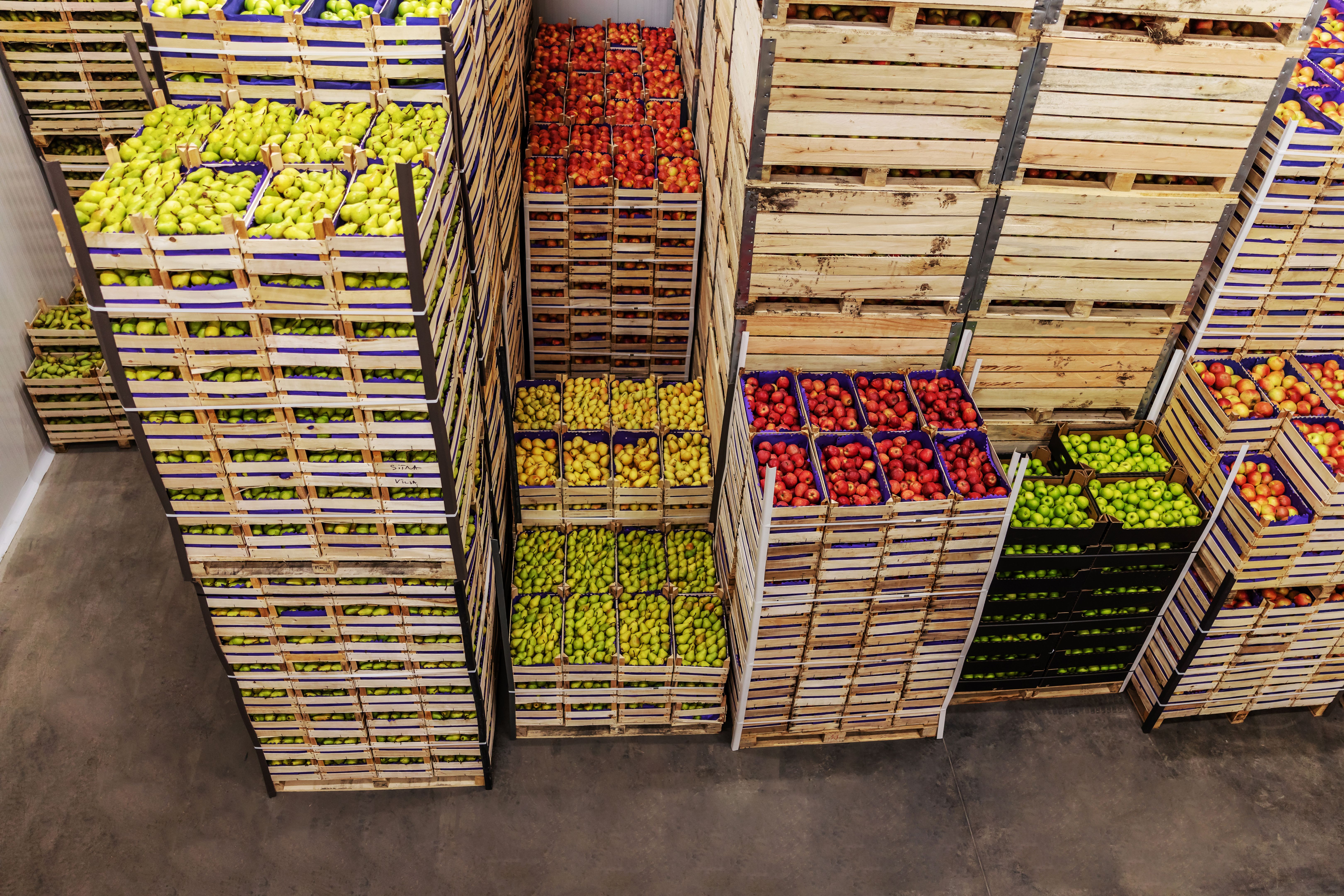 Apples and pears in crates ready for shipping. Cold storage interior.