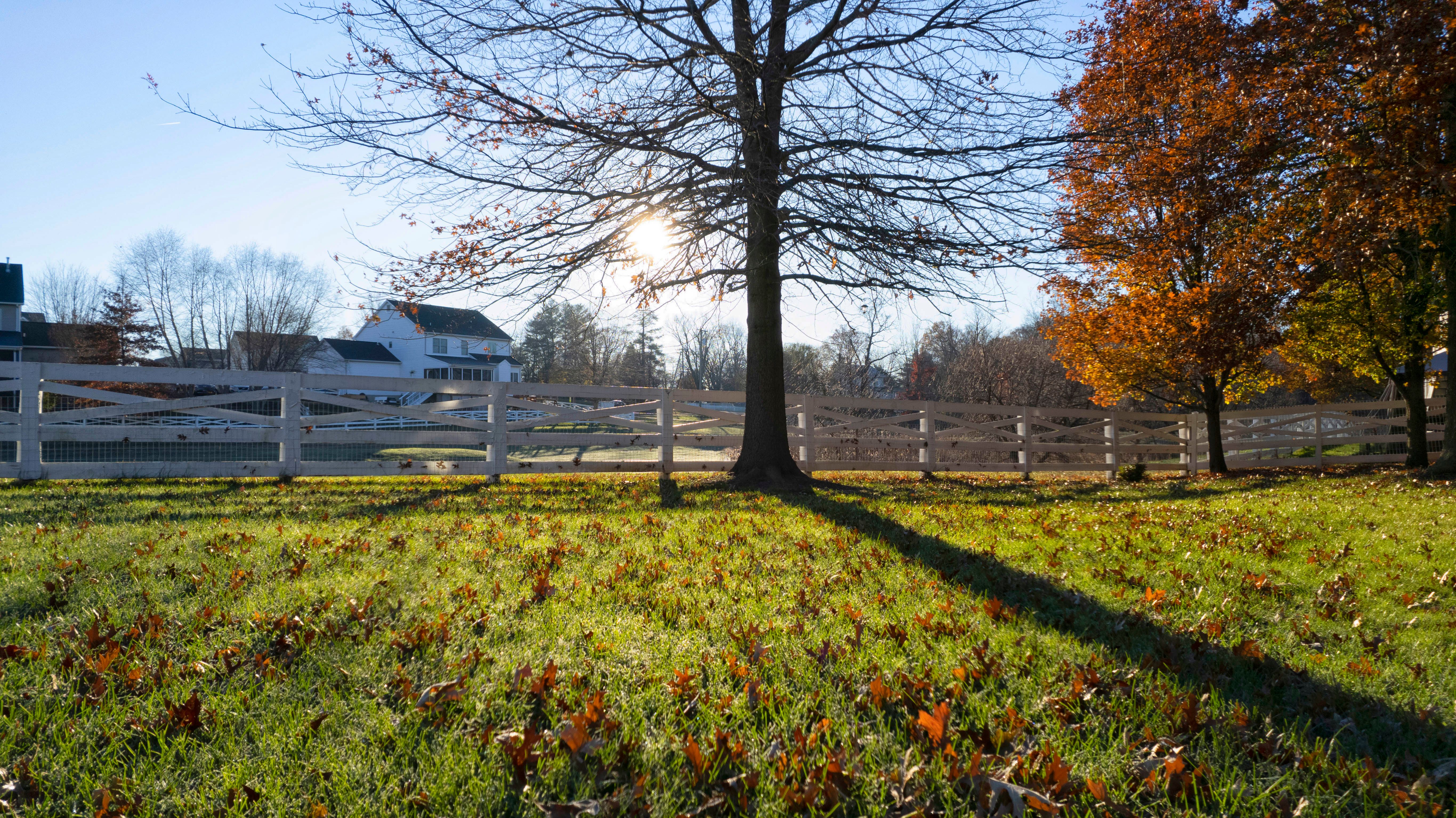 seasonal changes property