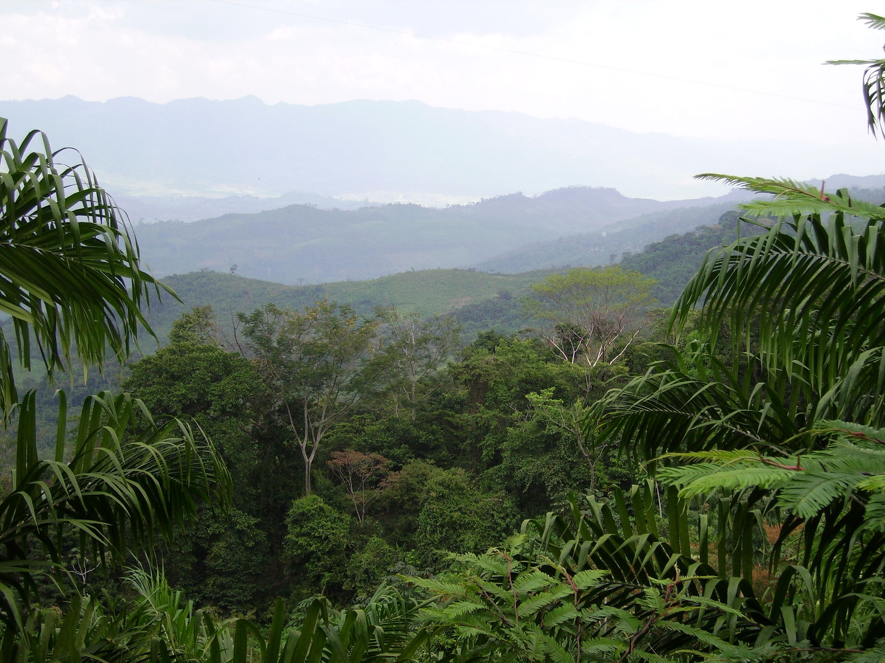 chiapas landscape