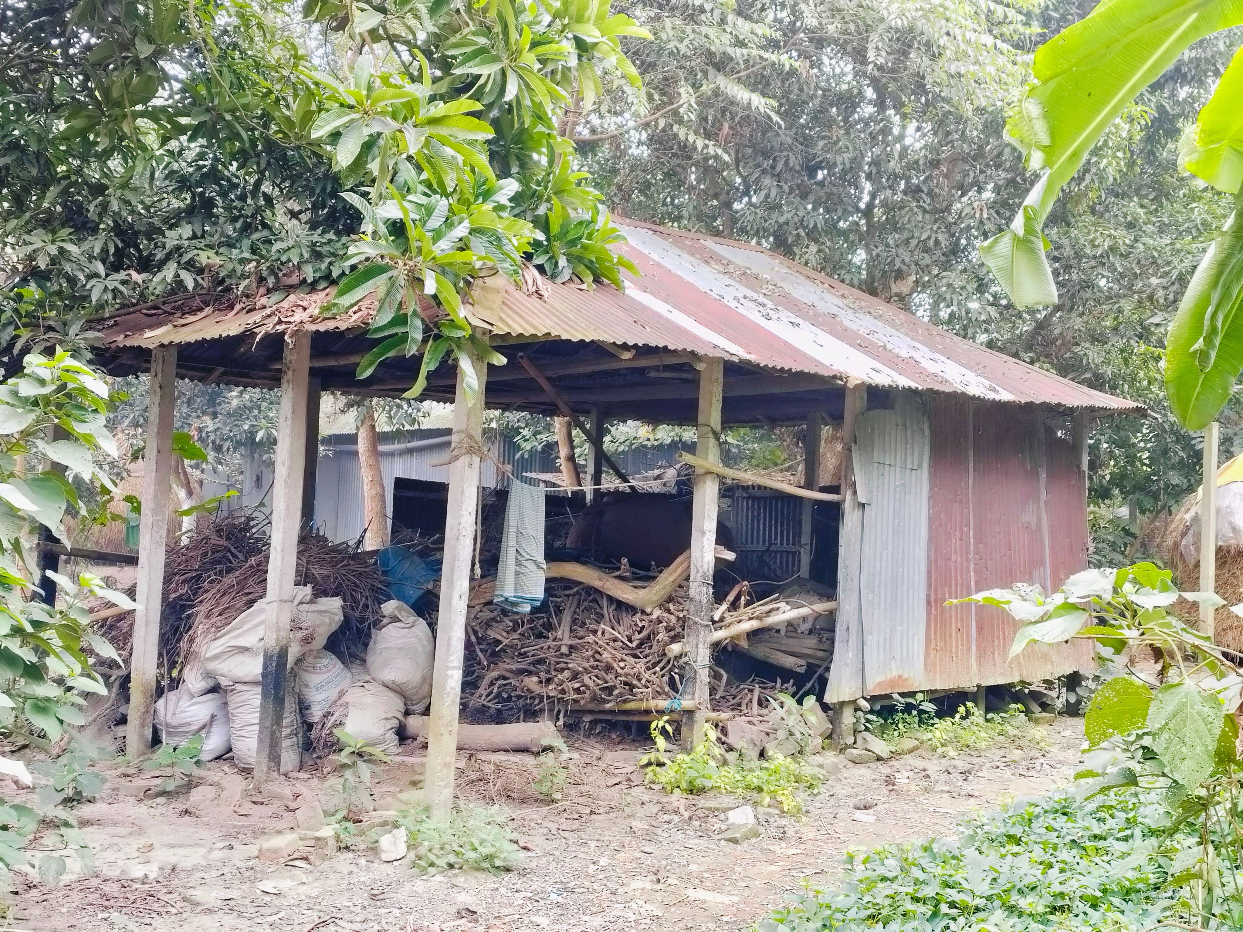 local materials home