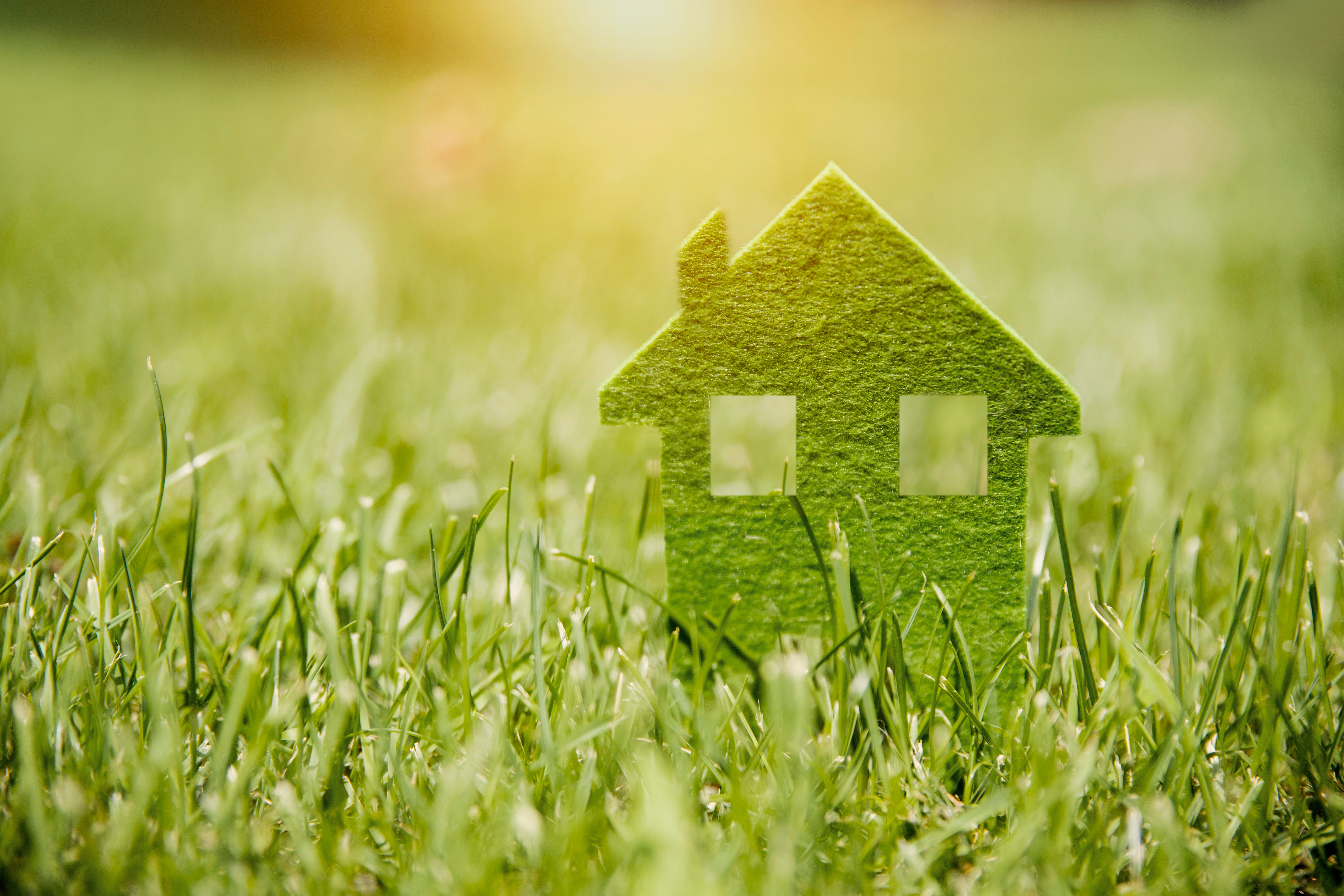 family eco-friendly home