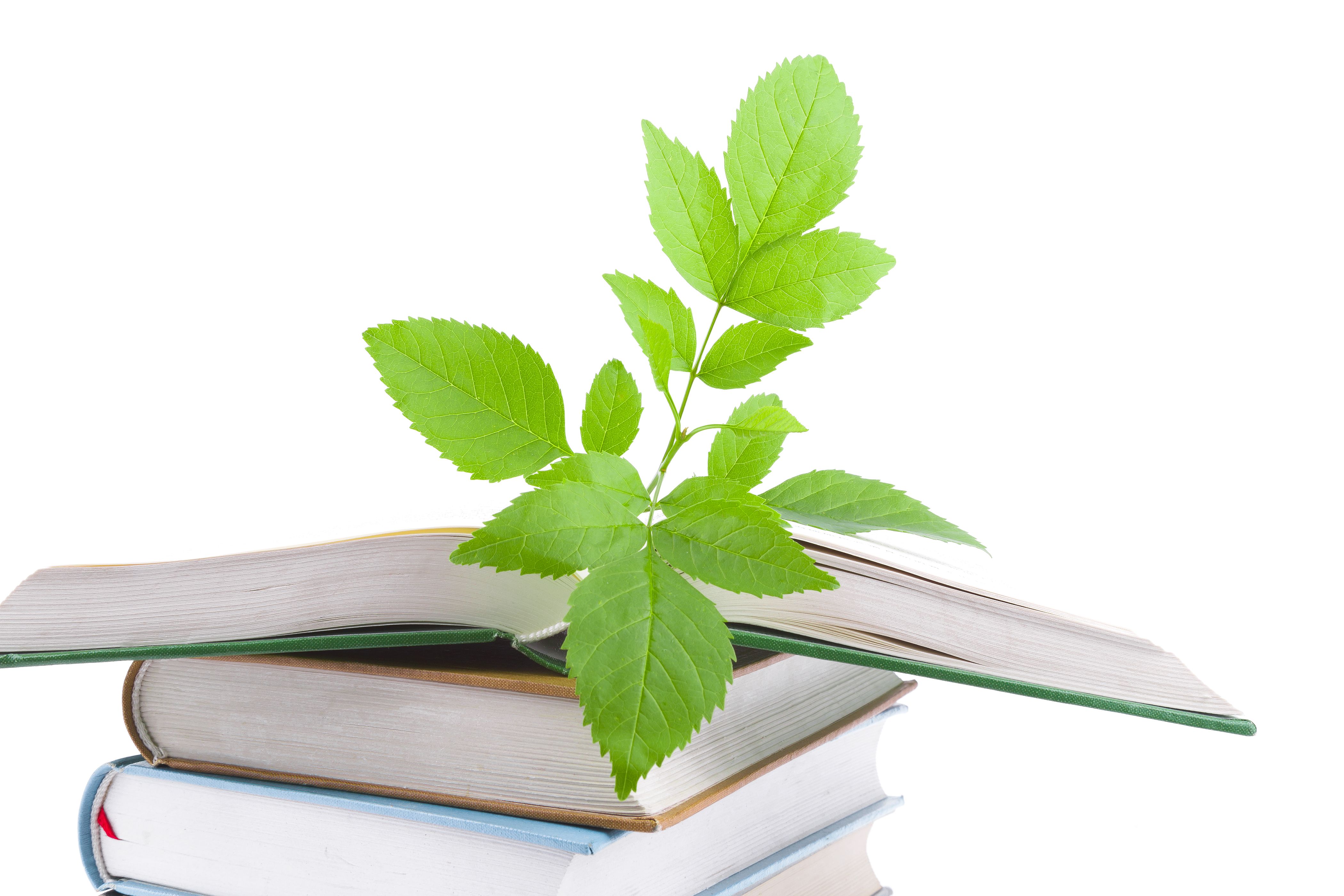 future education nature