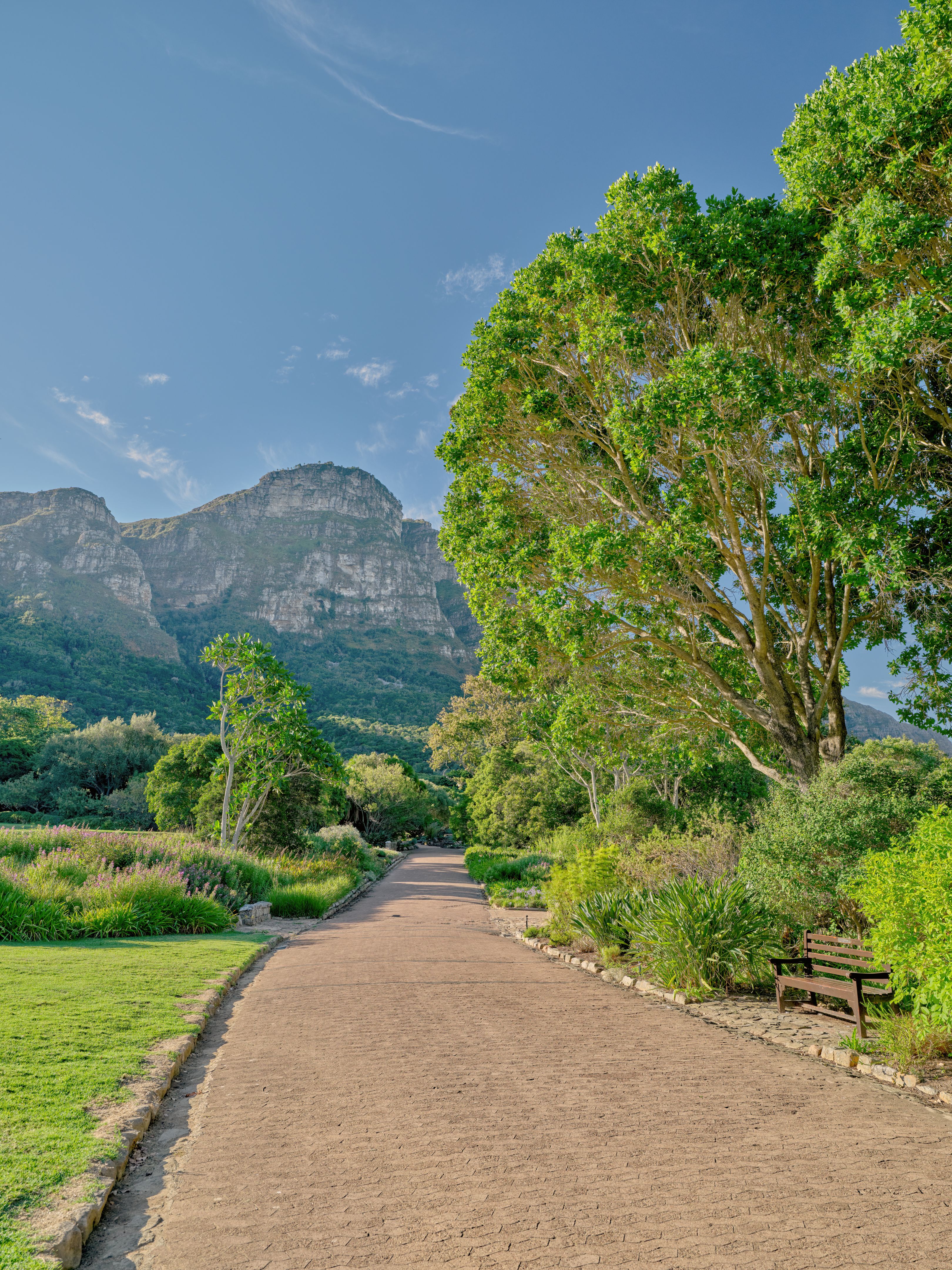 kirstenbosch garden