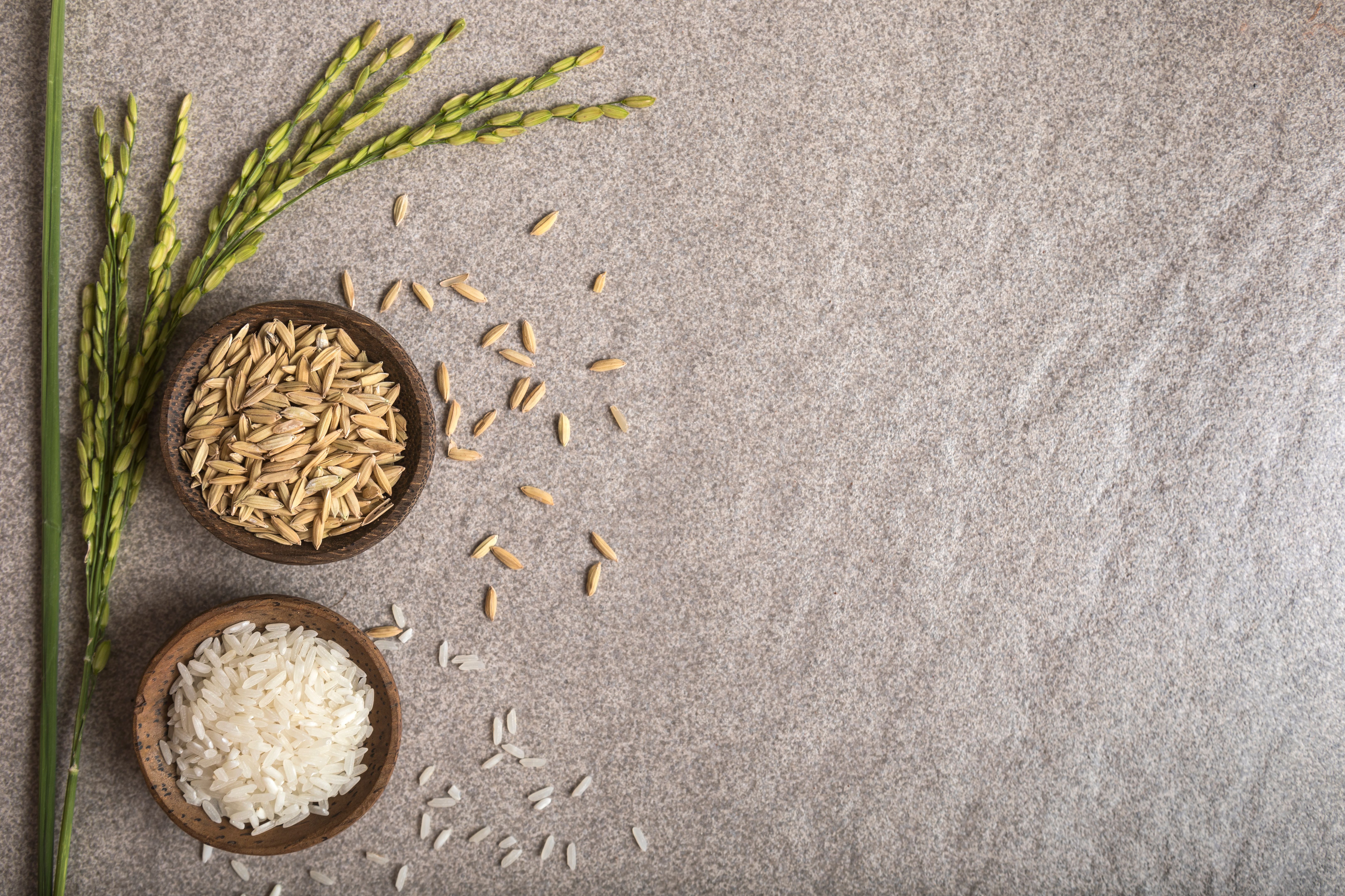 rice types