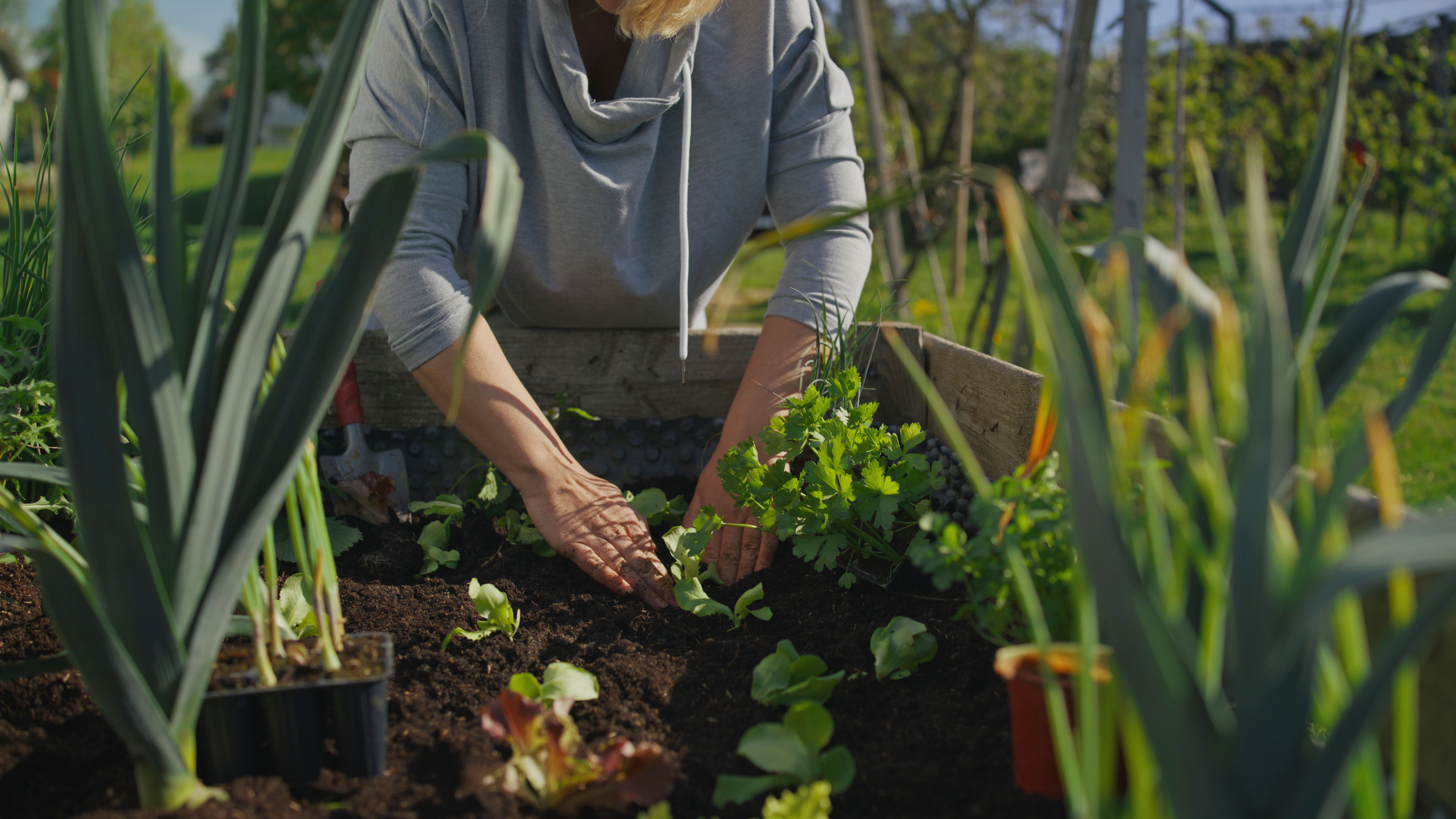 economic growth Slovenia