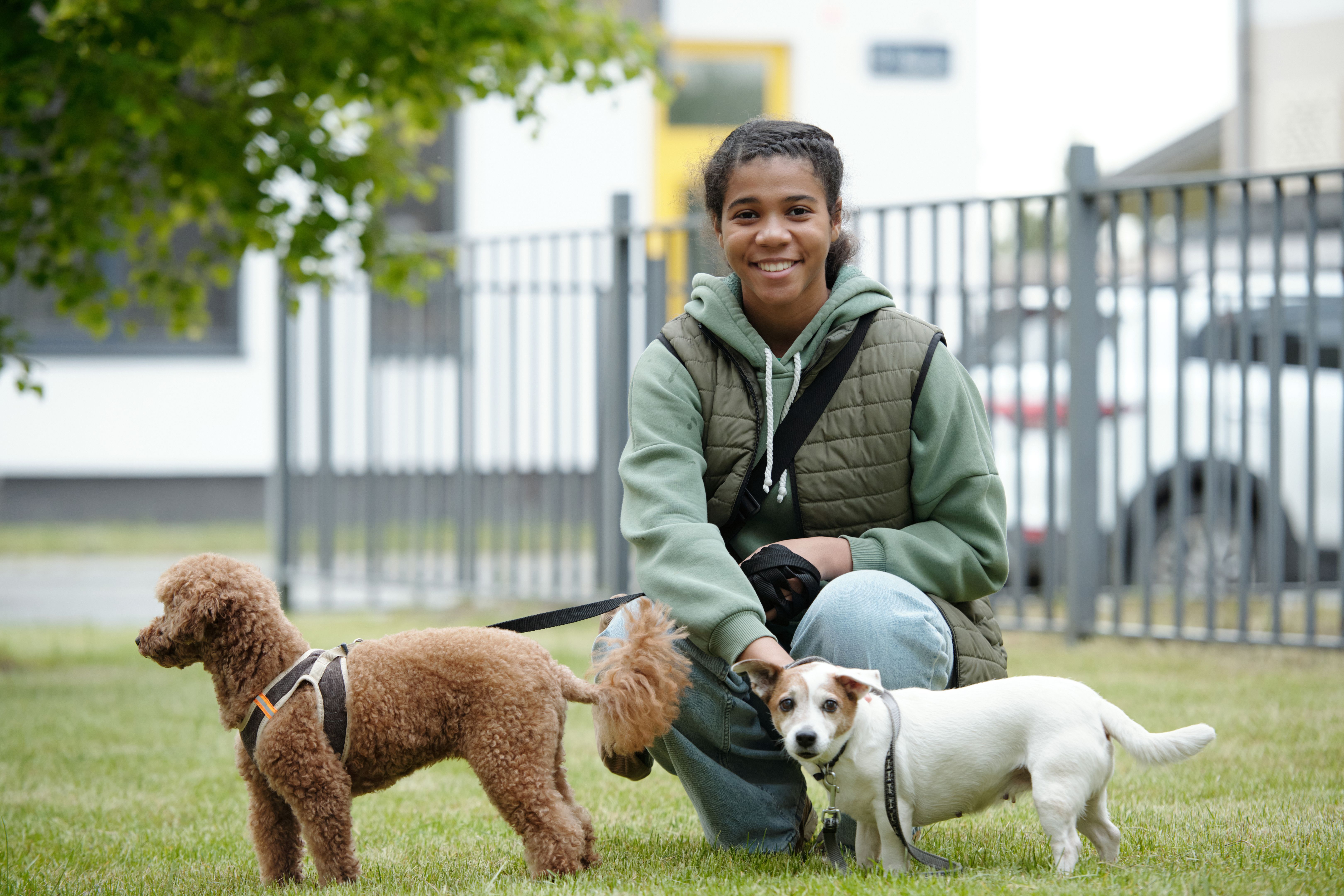 pet sitter