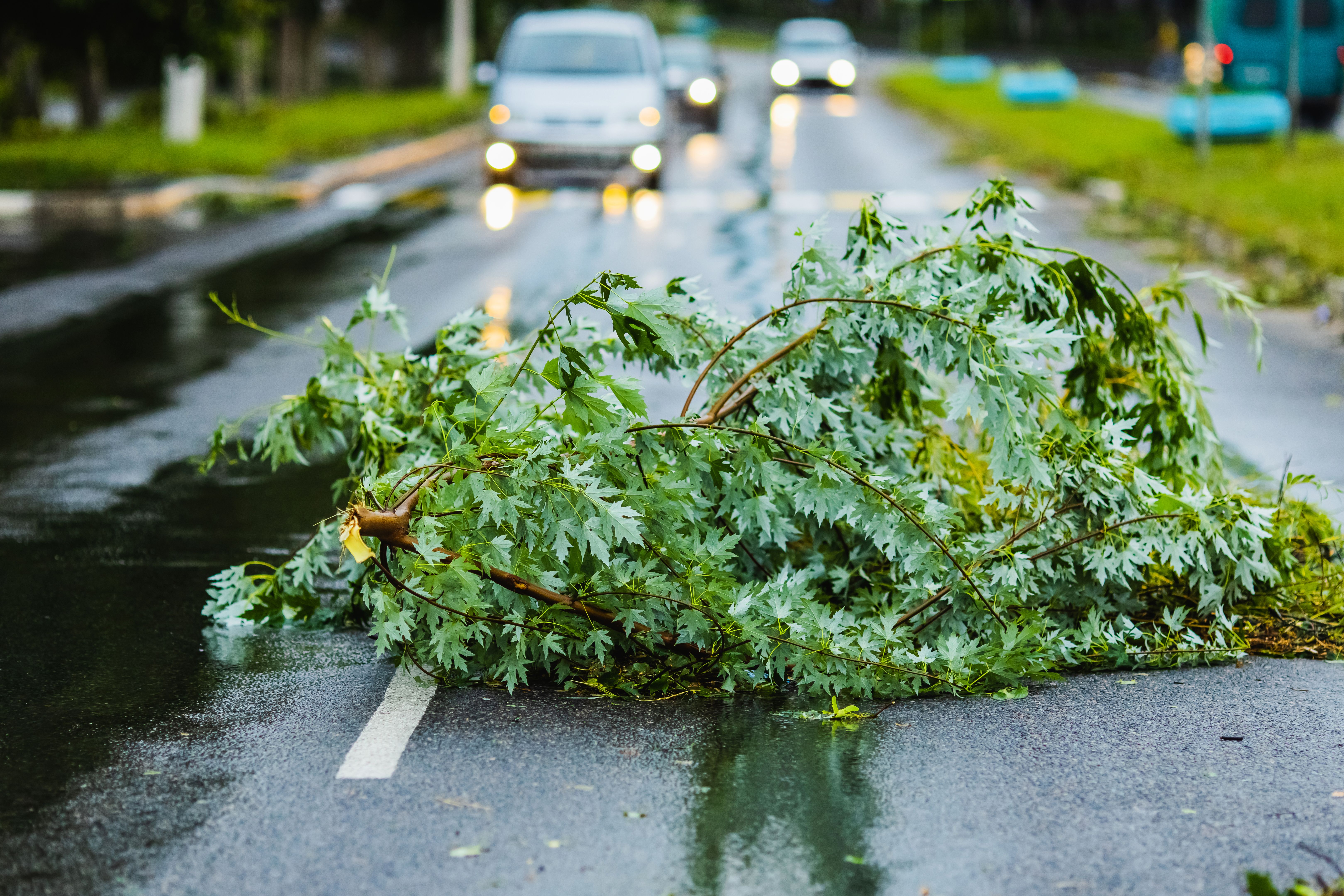 Emergency Debris Removal: What to Do After a Storm