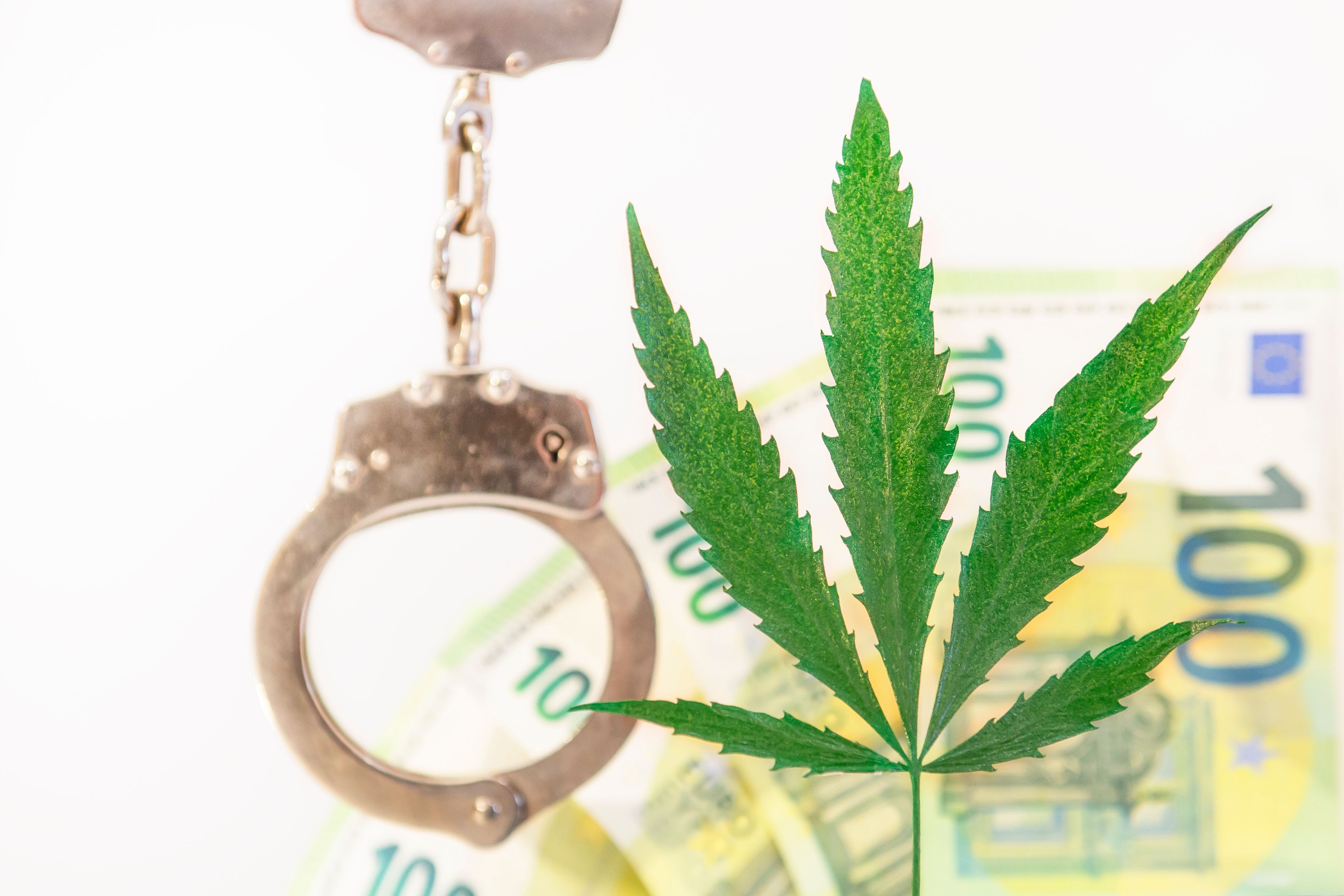 financial planning cannabis