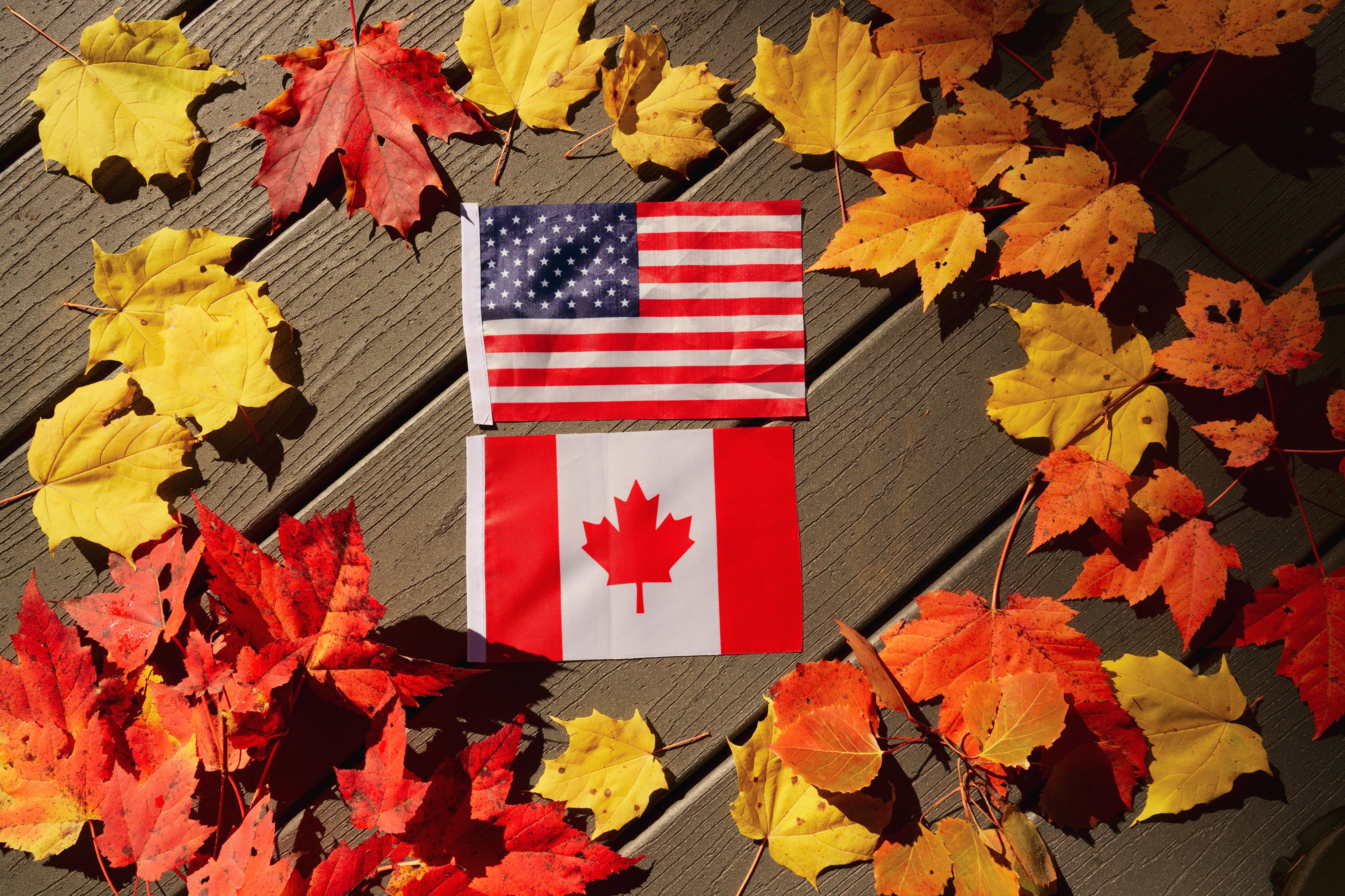 American and Canadian flags between maple leaves