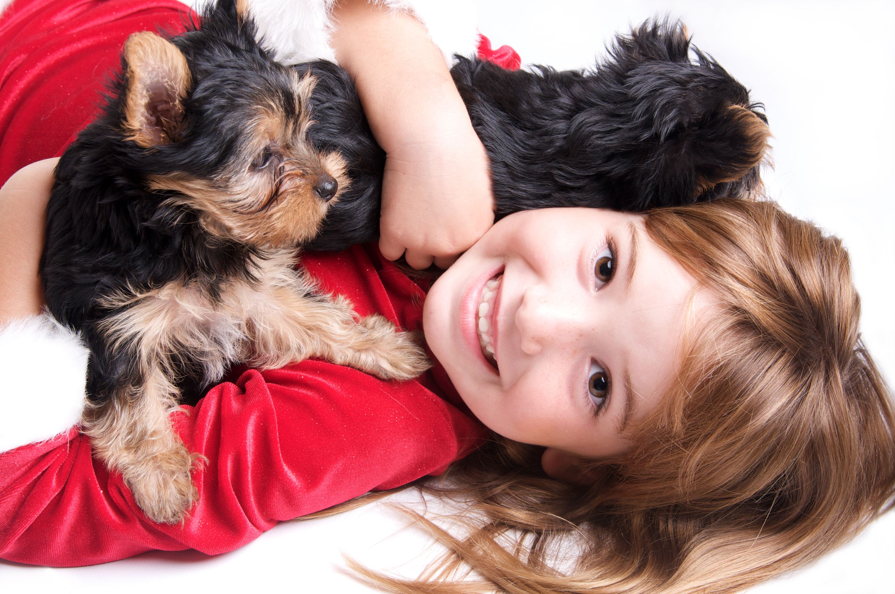 Beautiful Little Girl with Yorkie Puppies