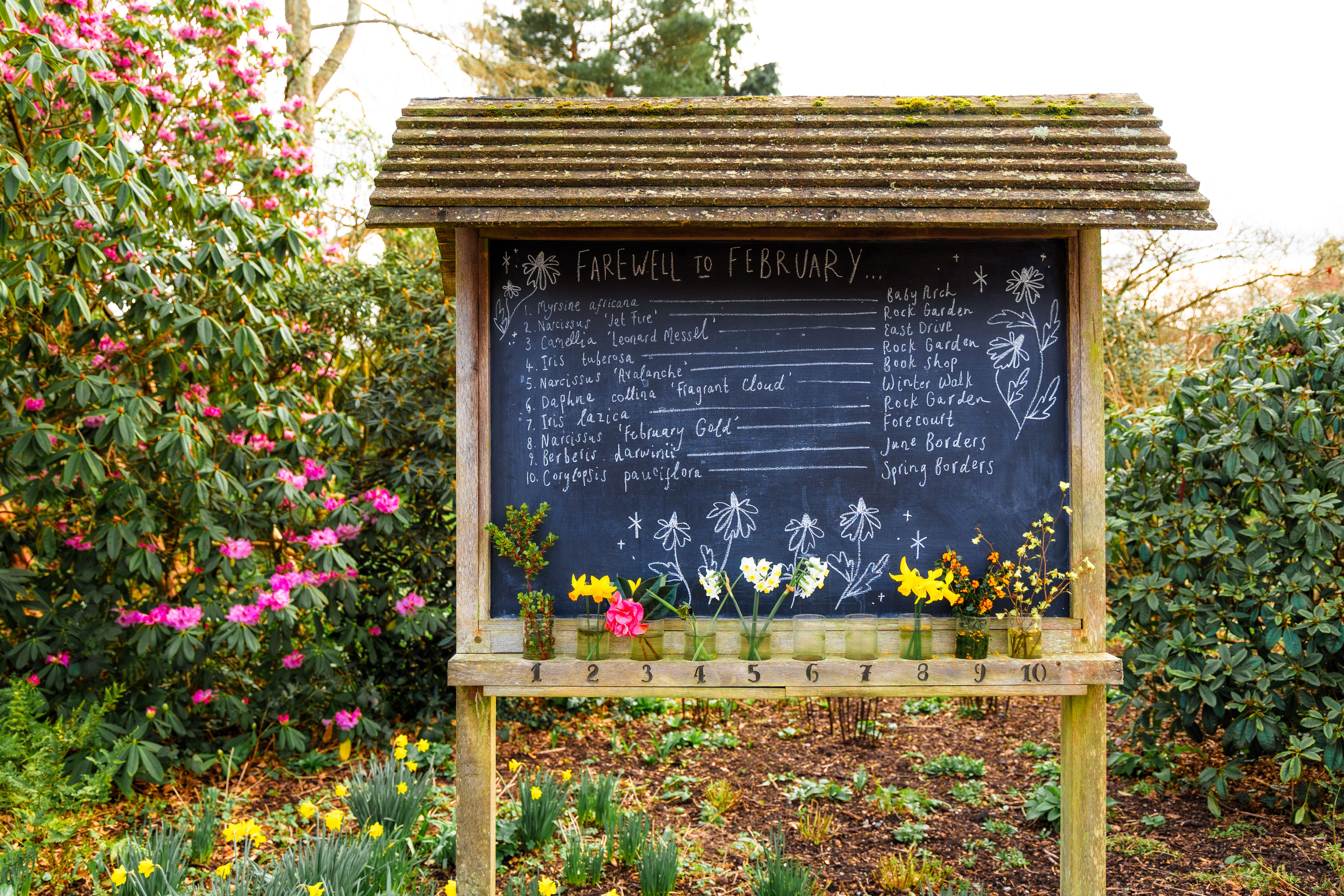 spring garden planning