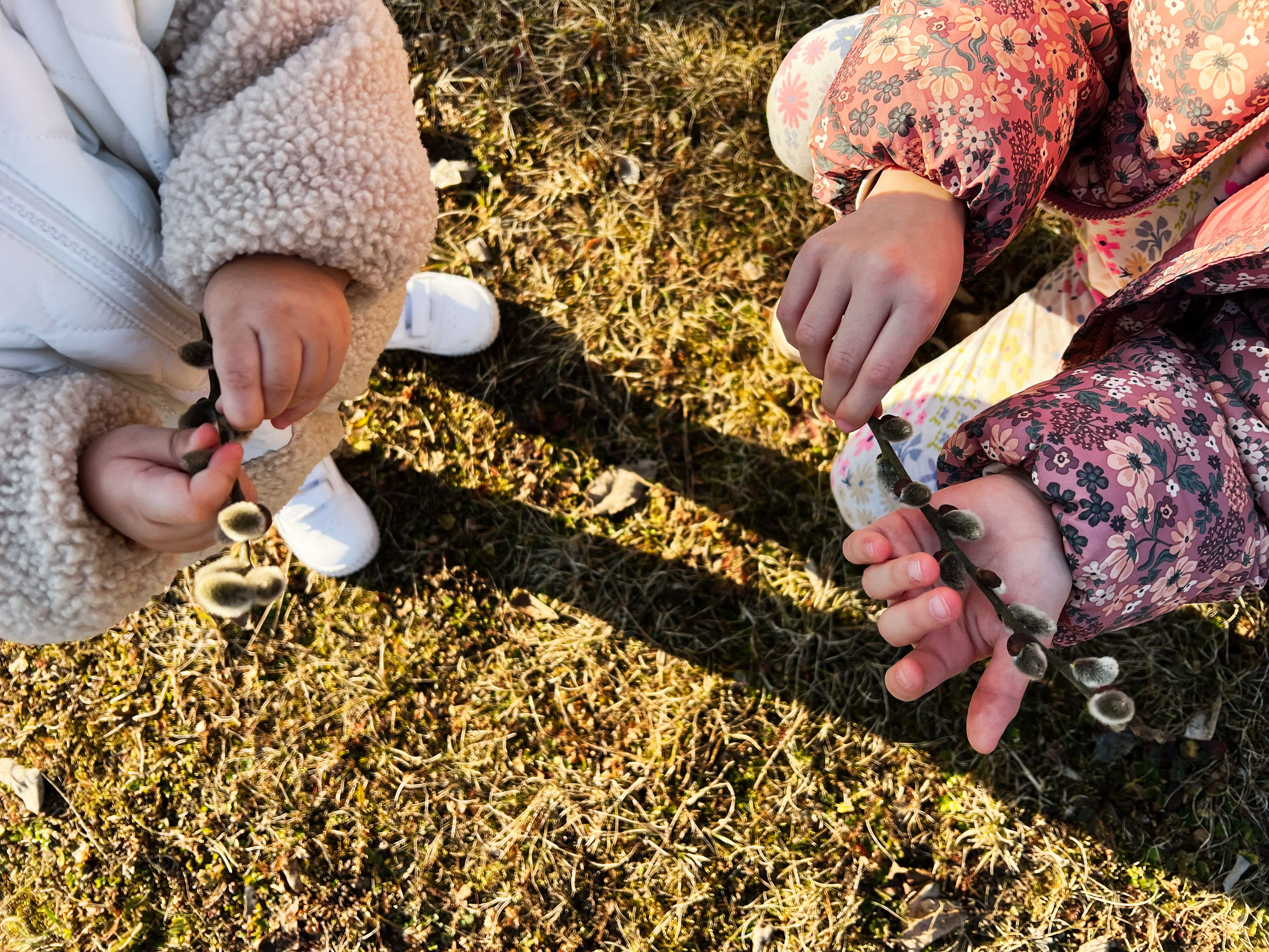 children outdoor learning