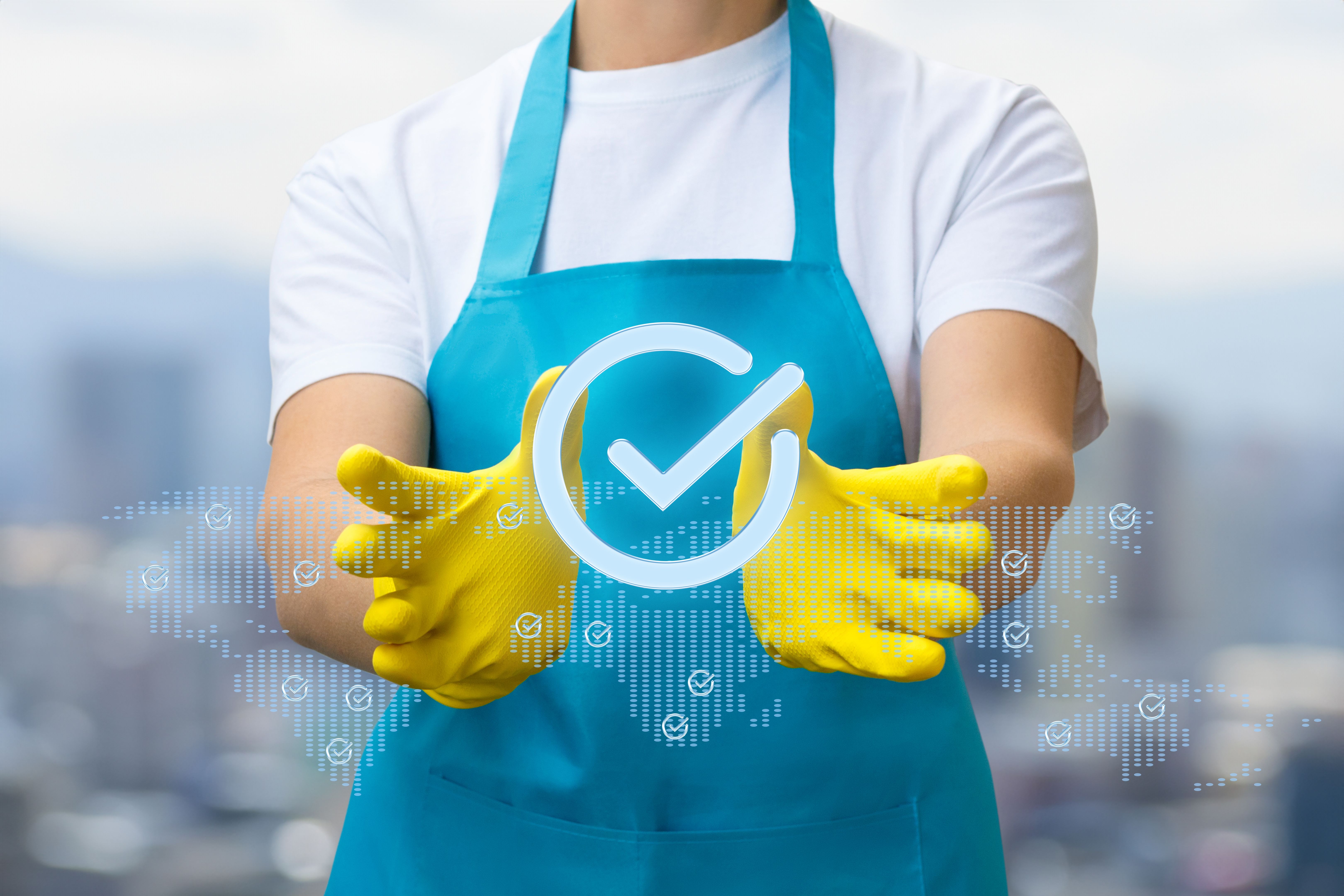 custom cleaning plan