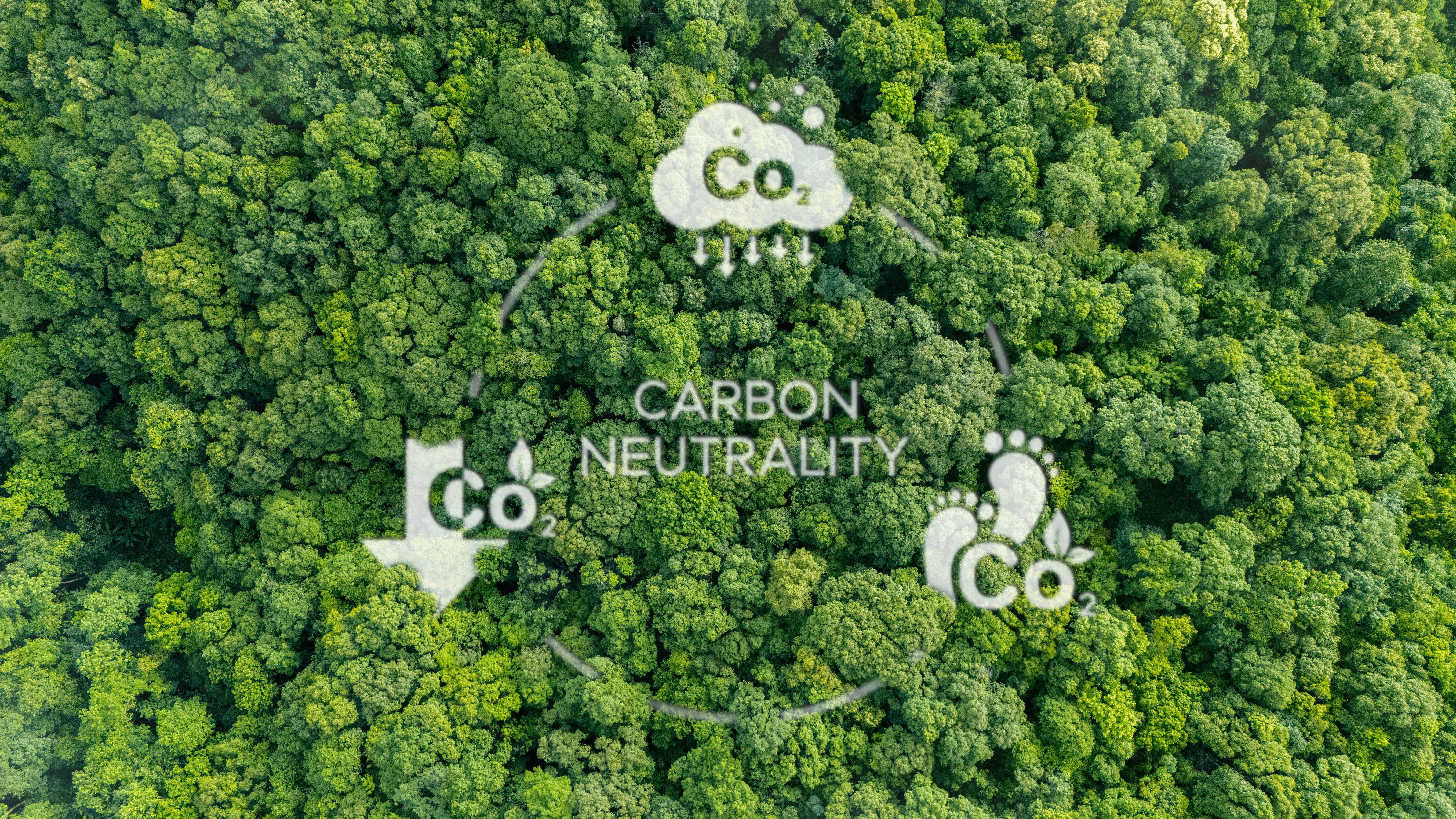 clean air environment