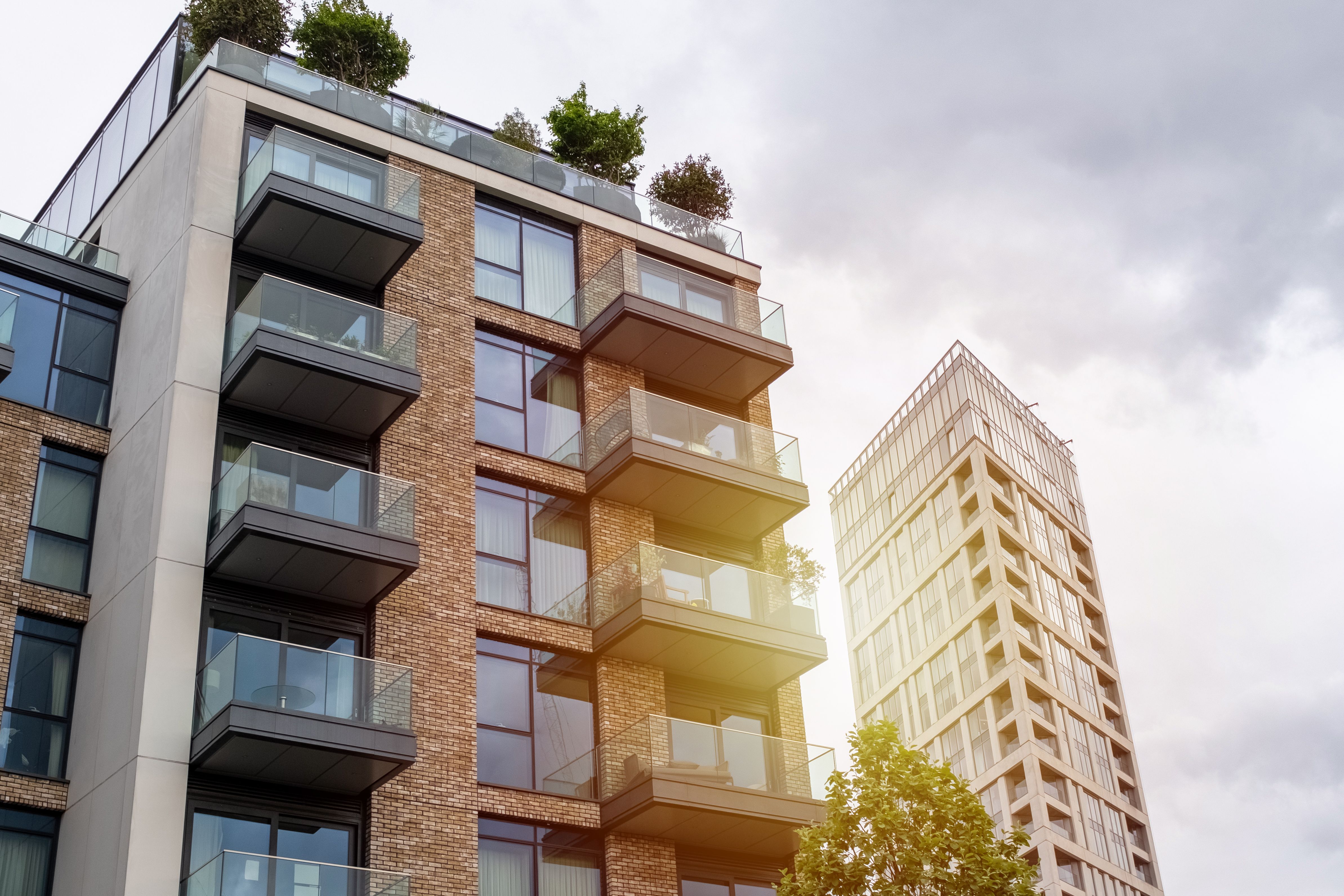 real estate development