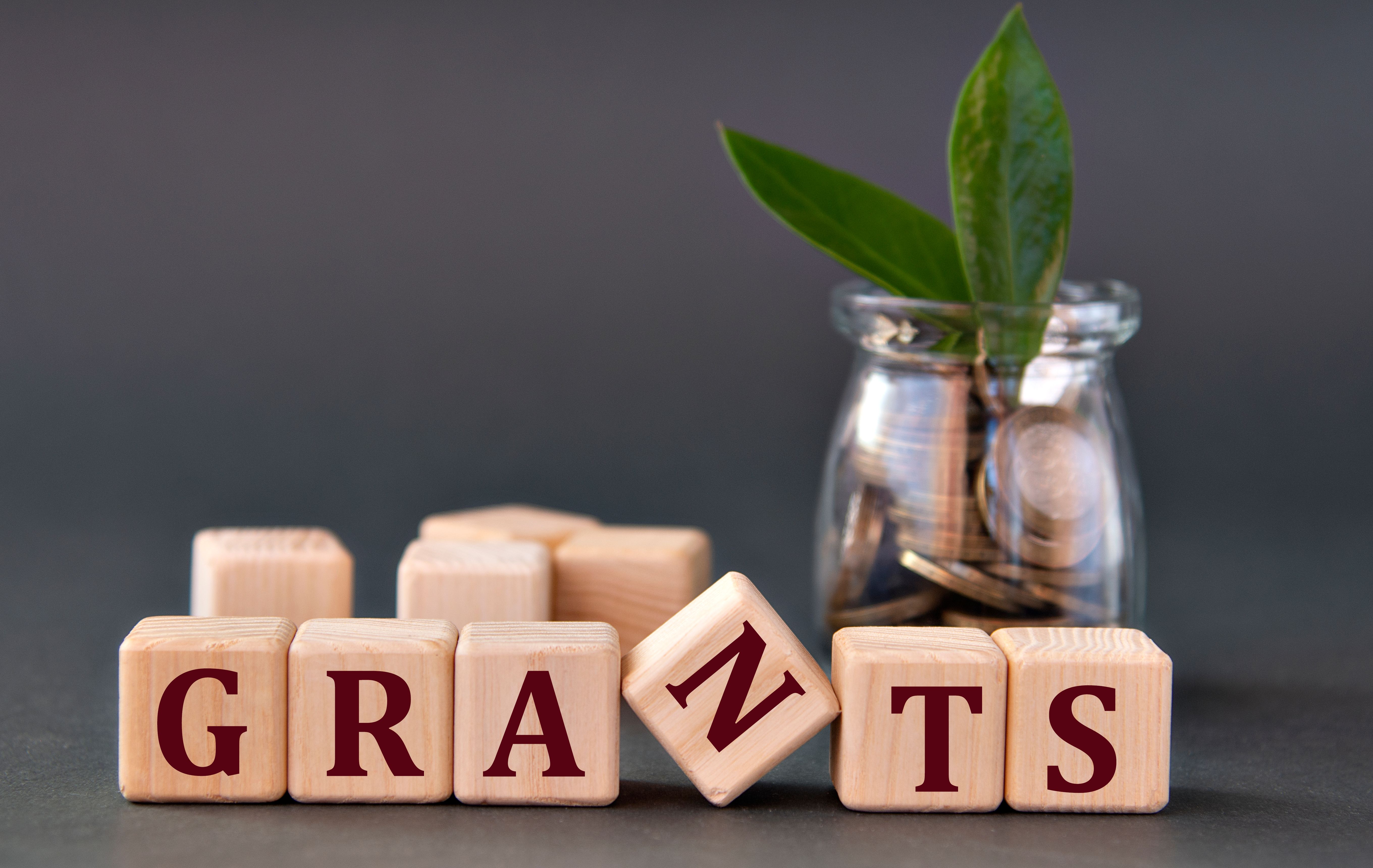 government grant proposal