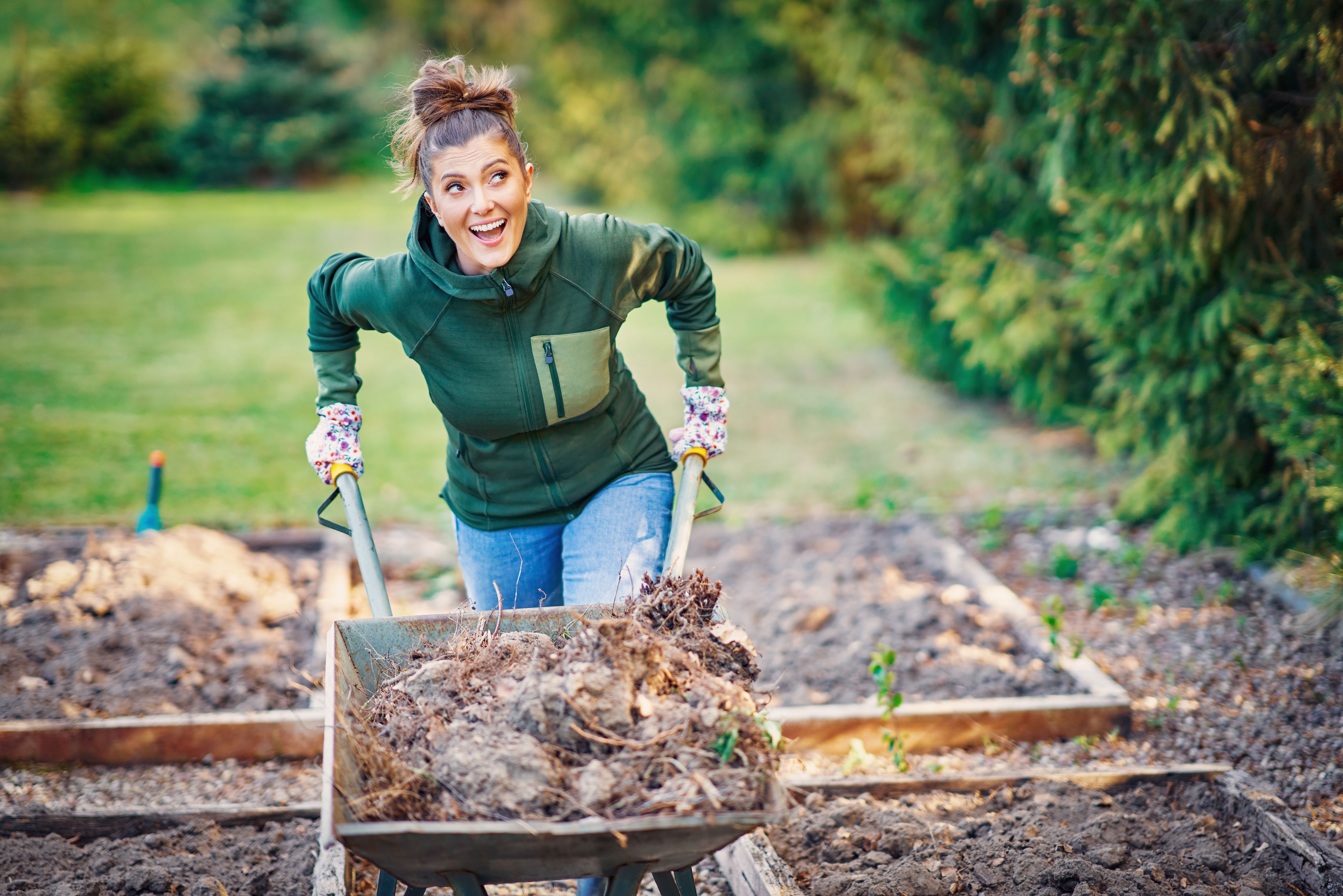 autumn garden preparation