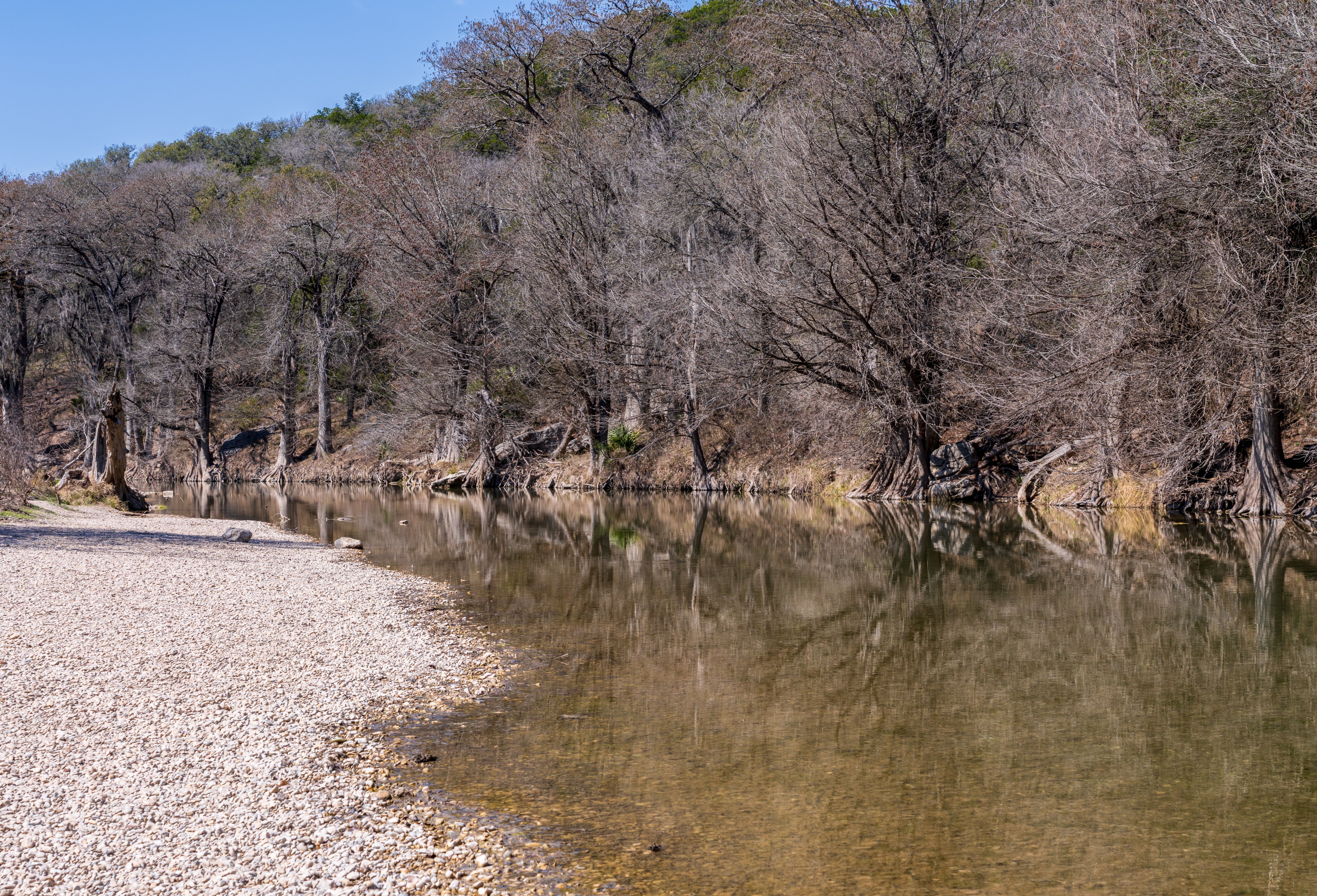 texas winter landscape