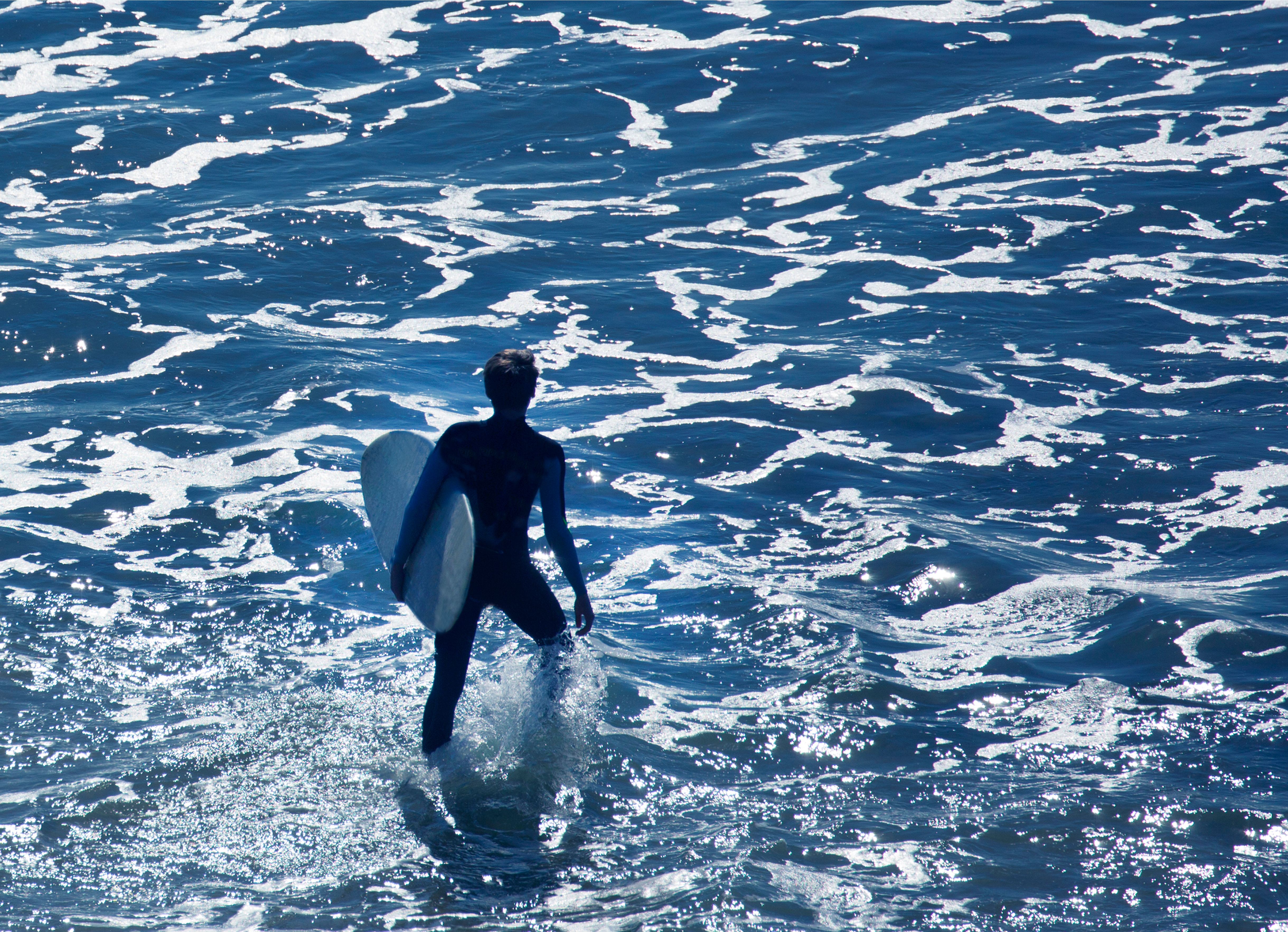 santa monica wellness