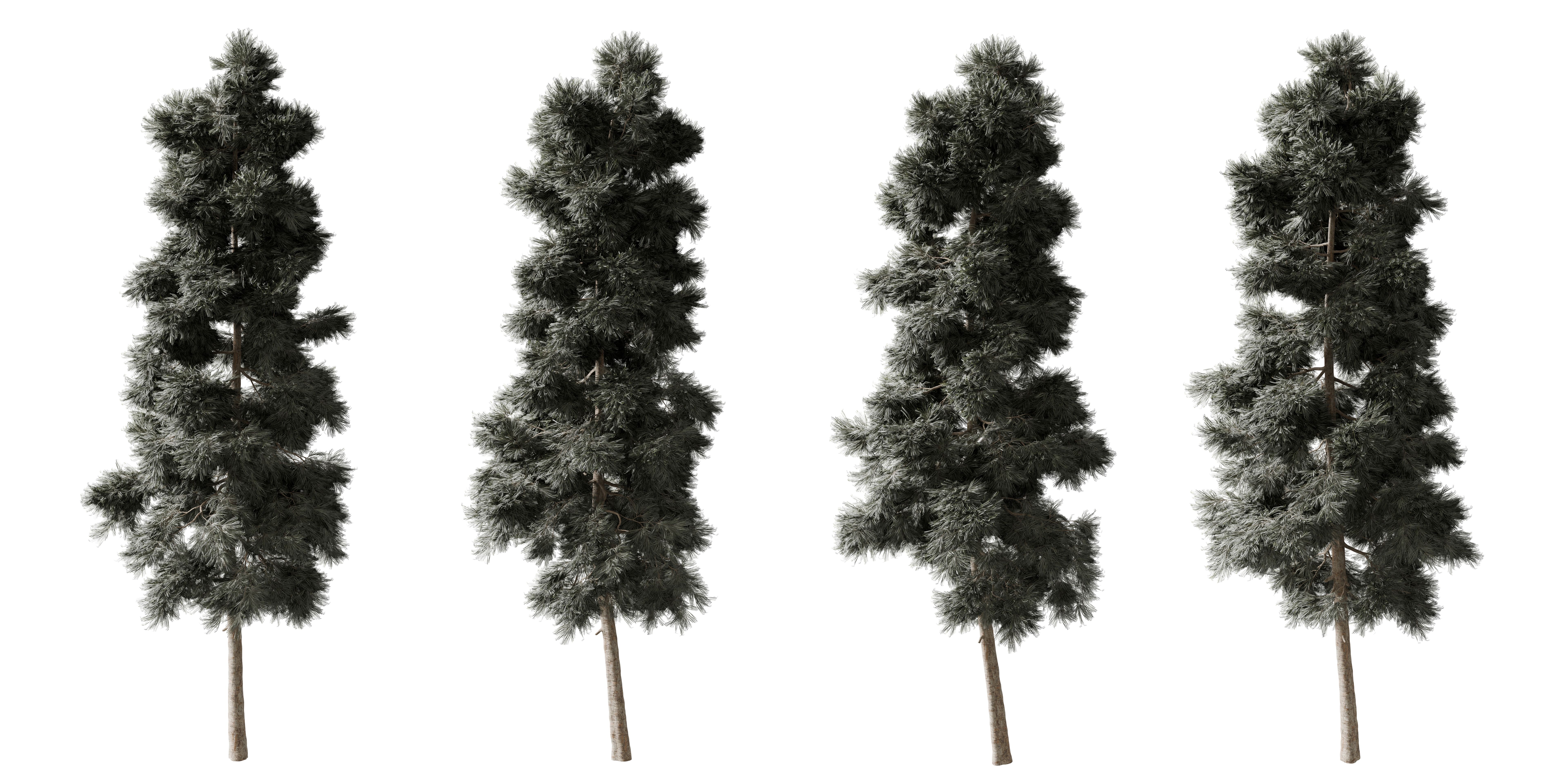 jefferson county lawn