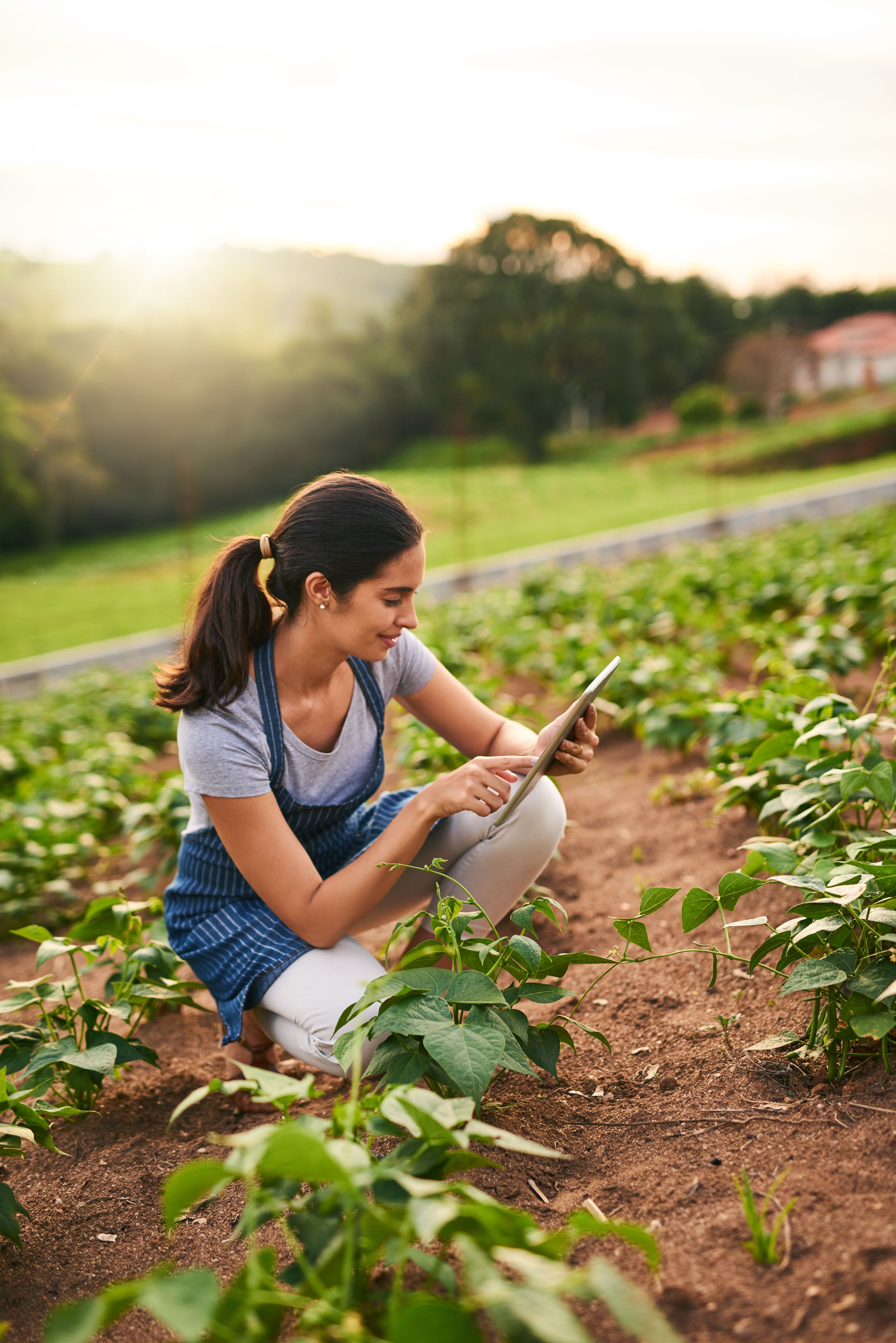 woman farming