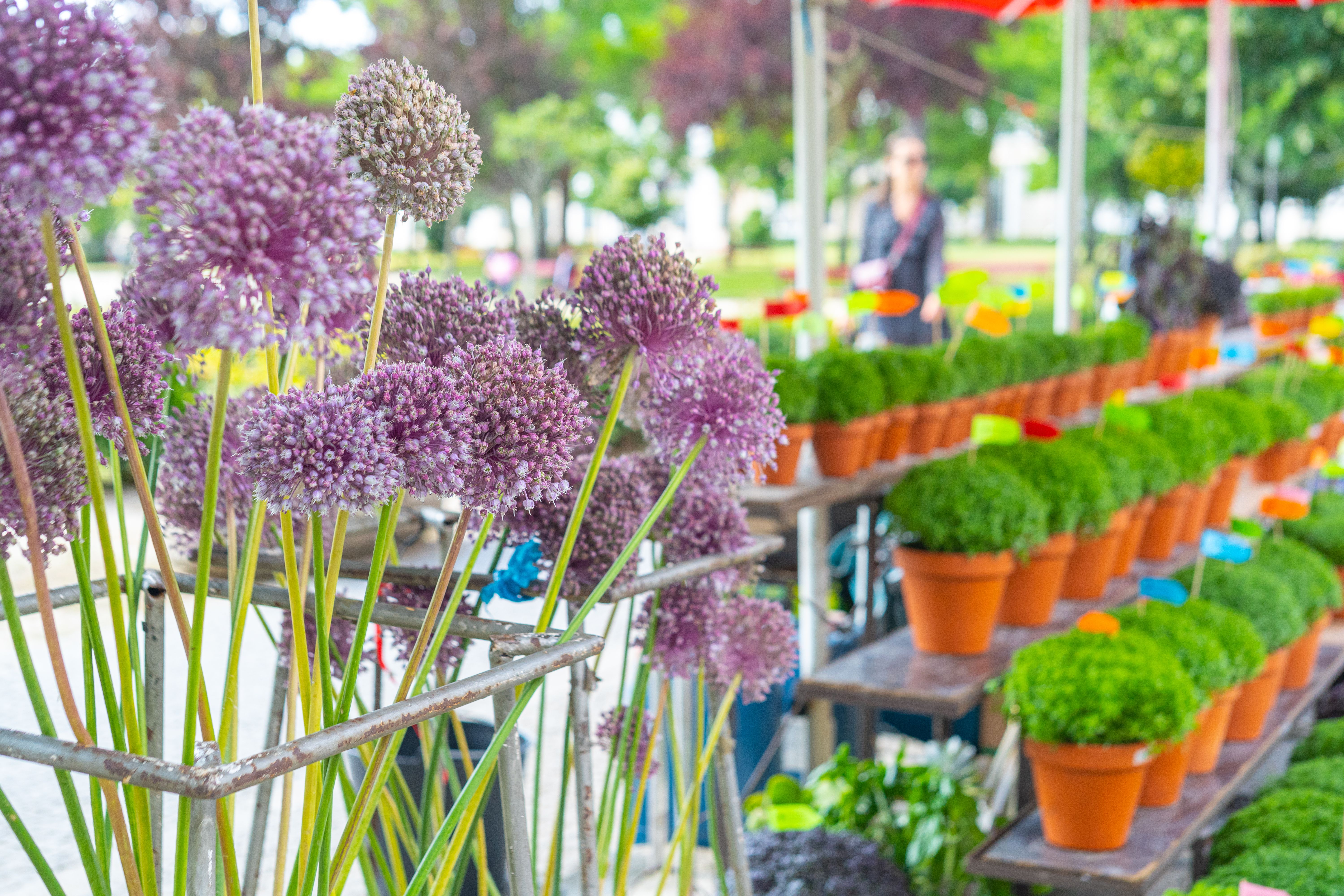 puerto rico shopping