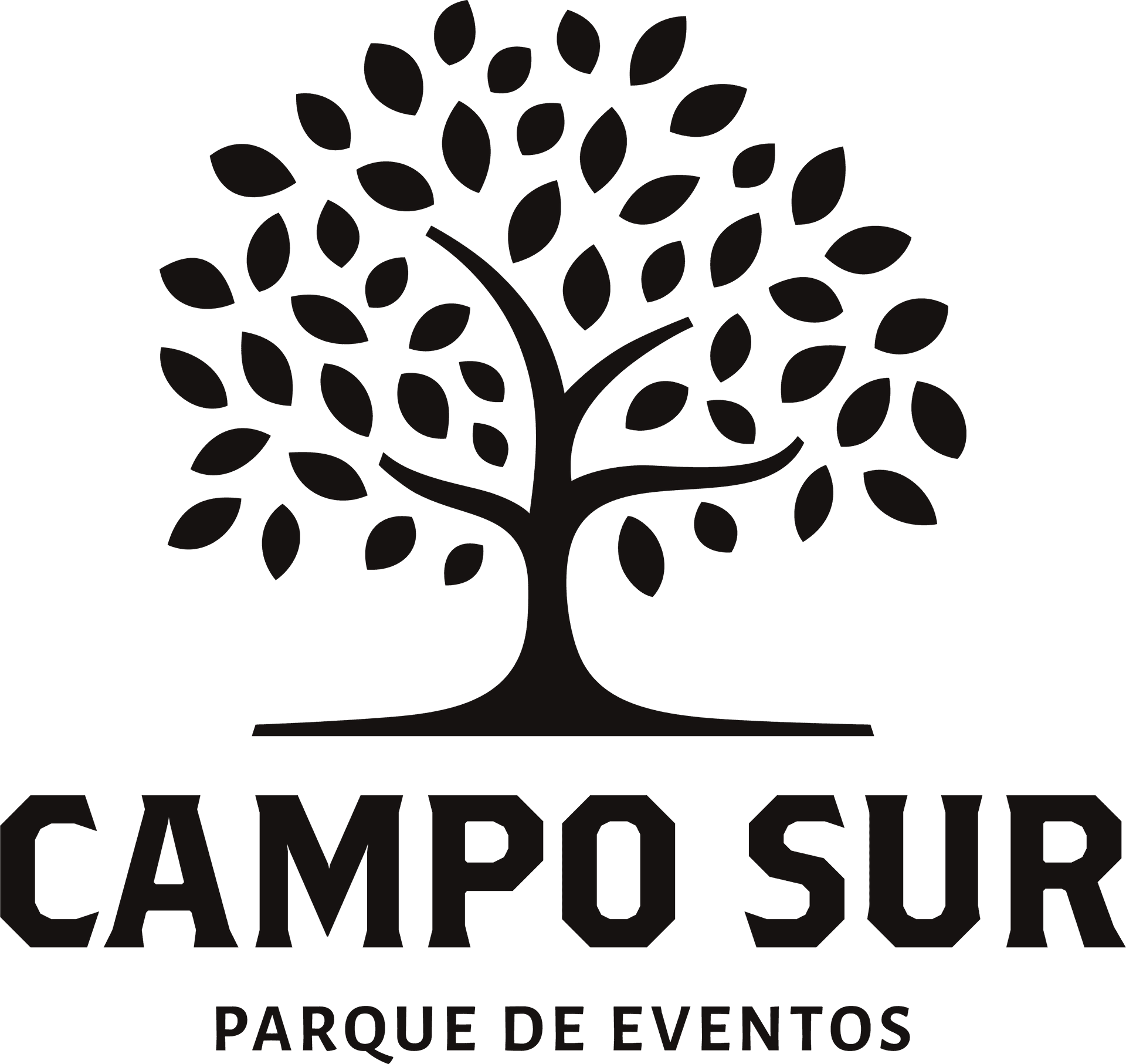 Campo sur
