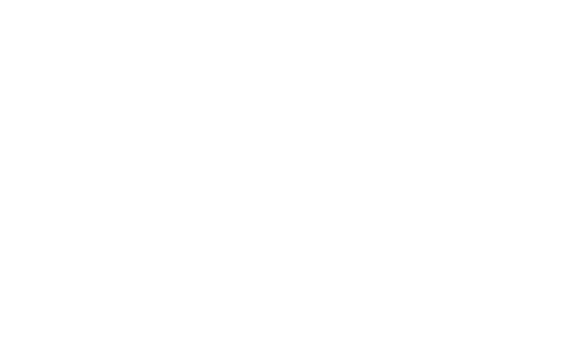 NEXTLANE Strategy
