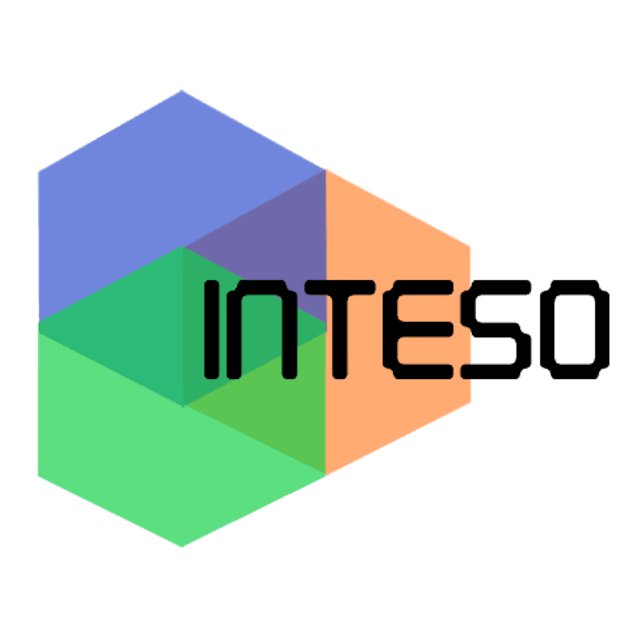 InTeSo - Innovative Technology Solutions