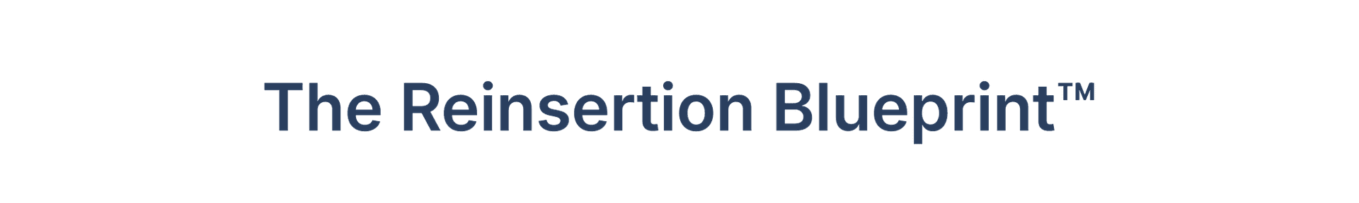 The Reinsertion Blueprint™