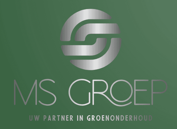 MS Groep
