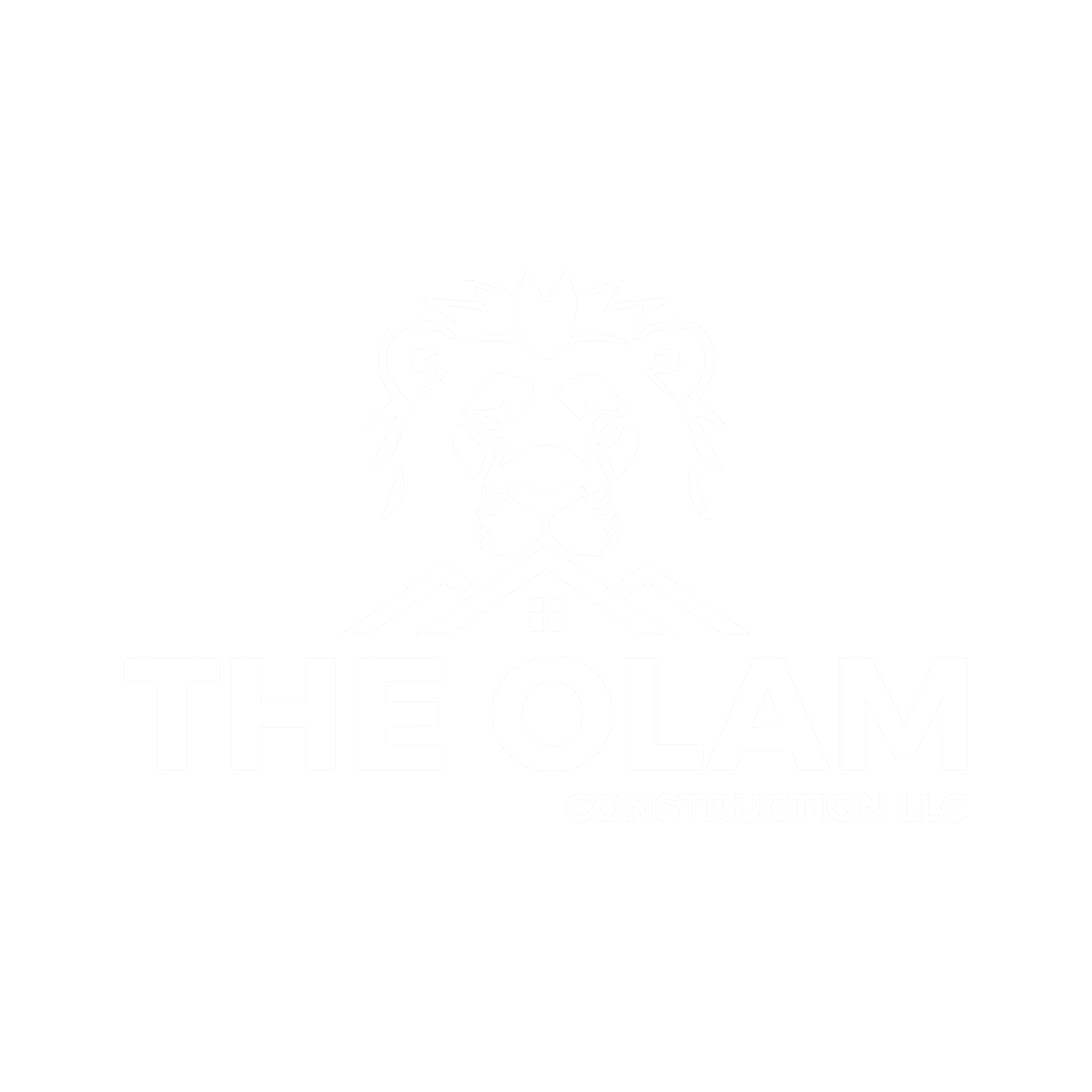 The Olam Construction LLC