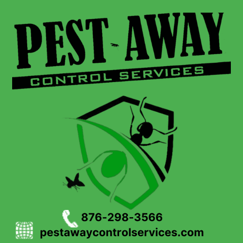 Pest Away Control Services
