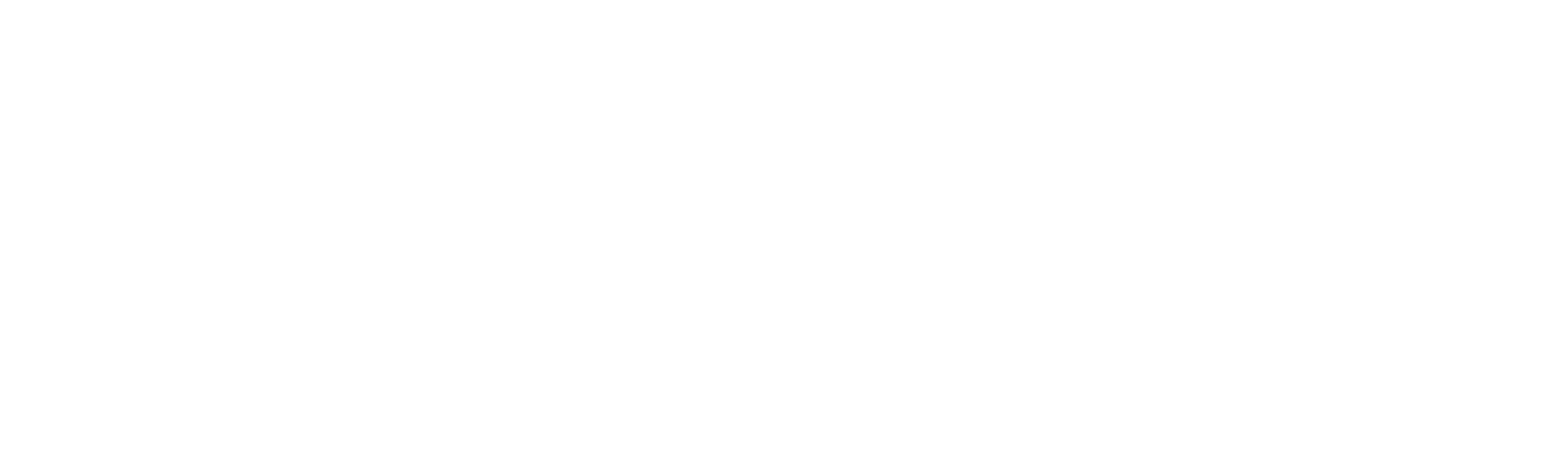The Los Angeles Neighborhood Street Games
