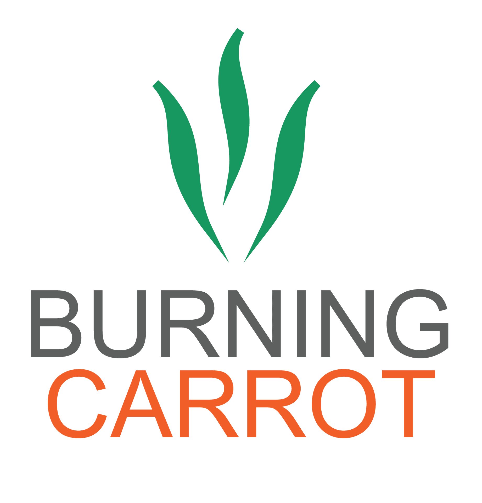 Burning Carrot Design Inc