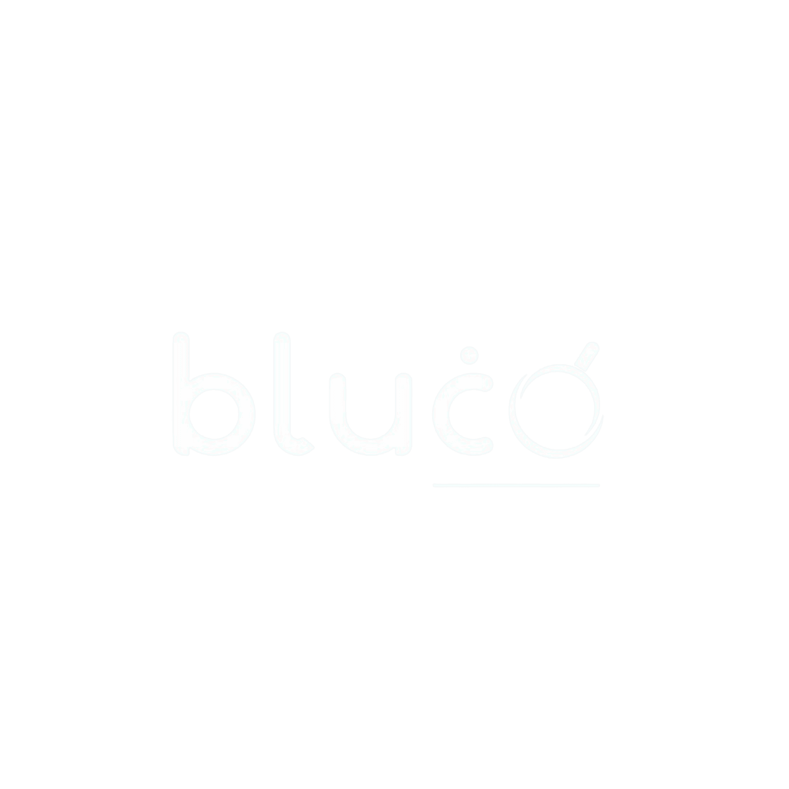 bluco llc