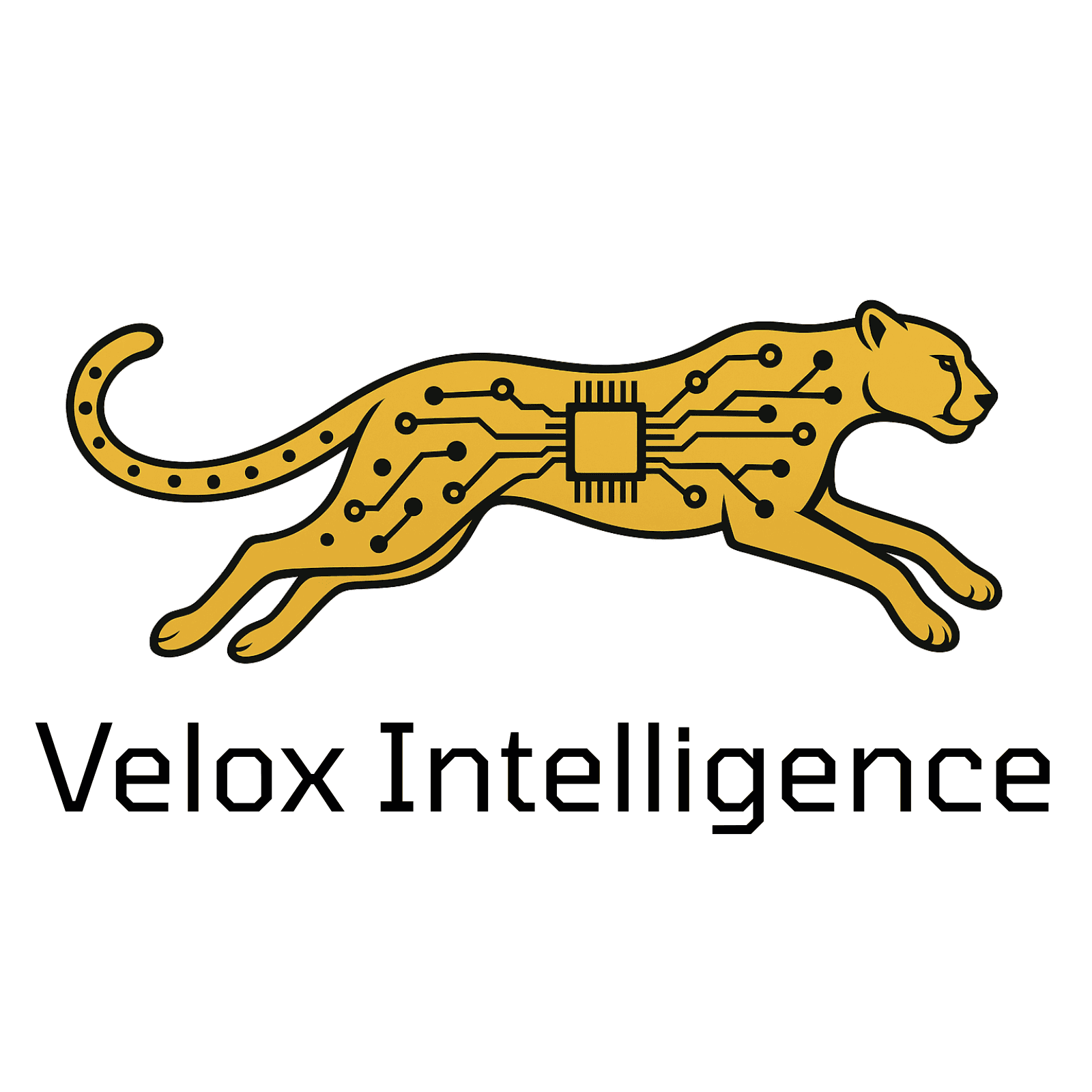 Velox Intelligence
