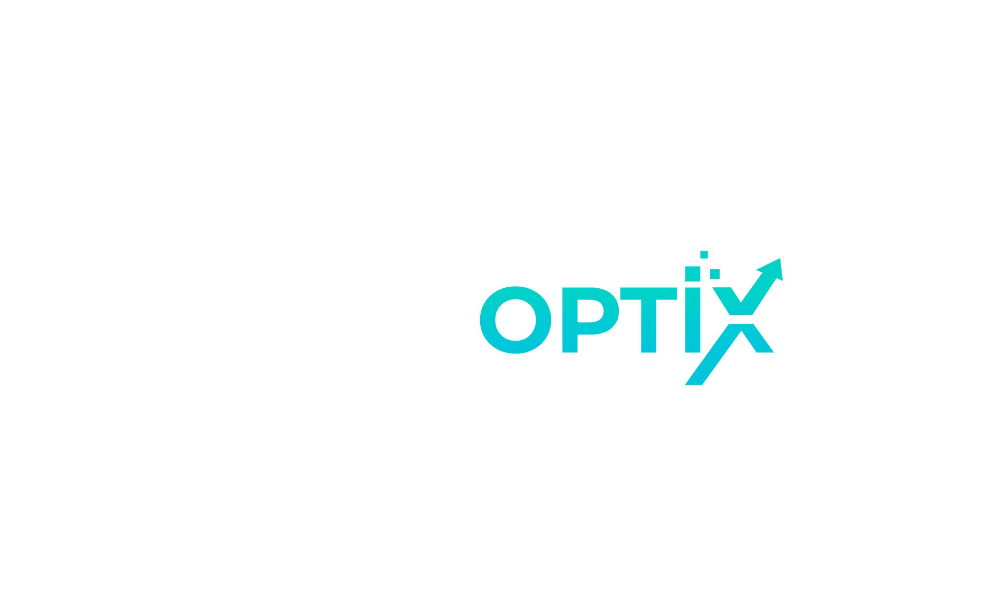 RankOptix