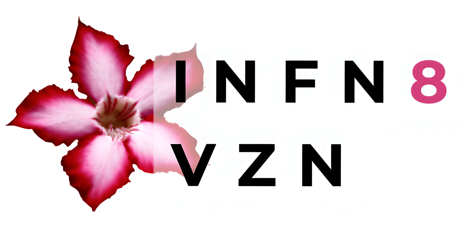 INFN8 VZN