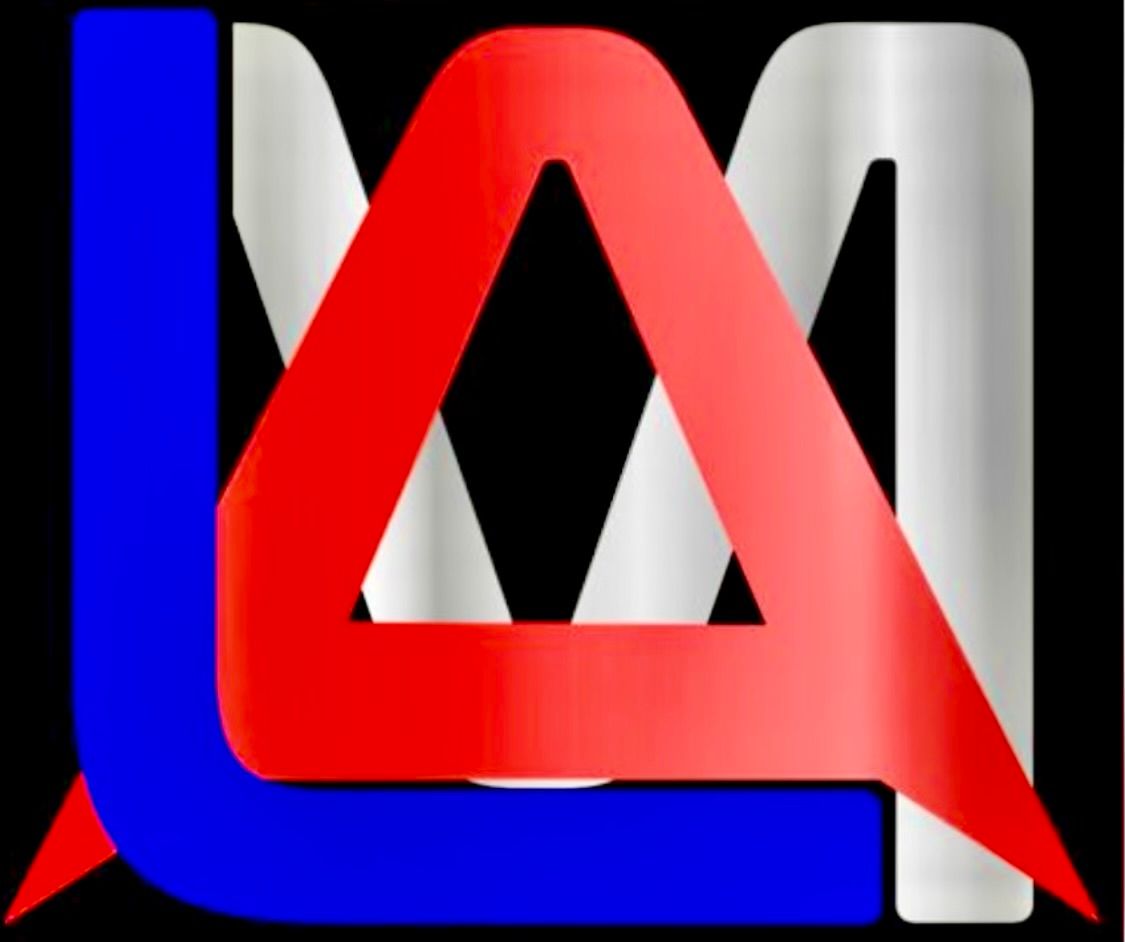 LAM SERVICES LLC
