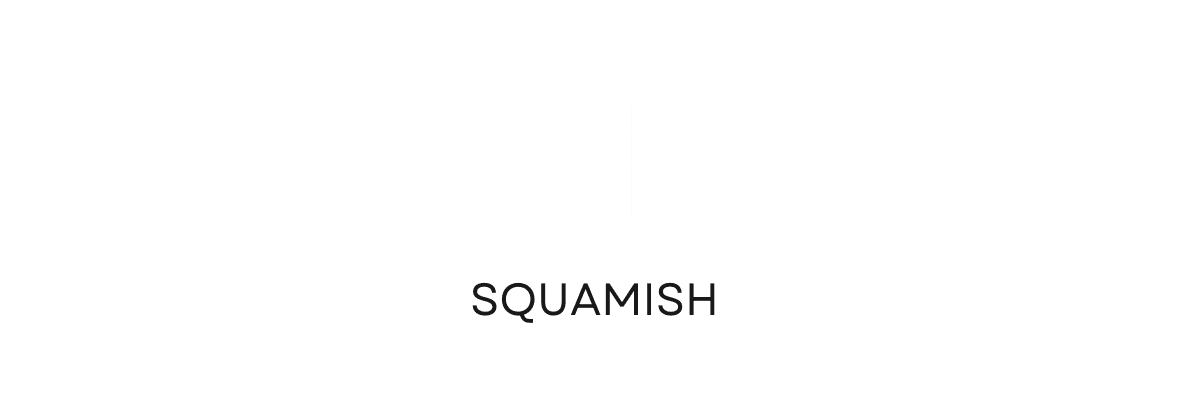 Board Lab Squamish