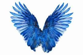 ANGELS ABOVE SOLUTIONS