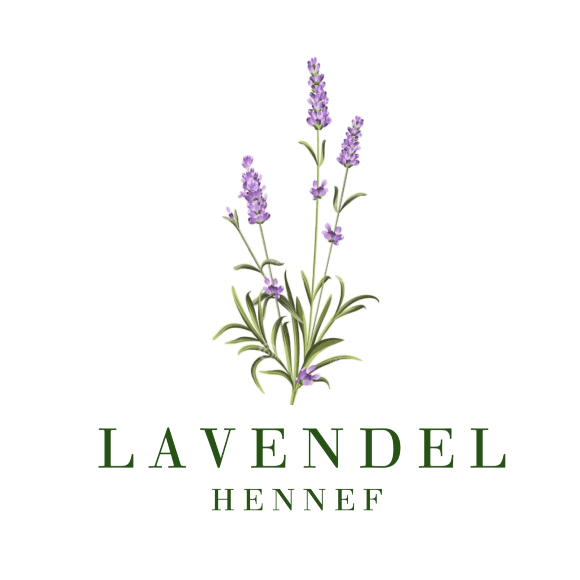 Cafe Lavendel